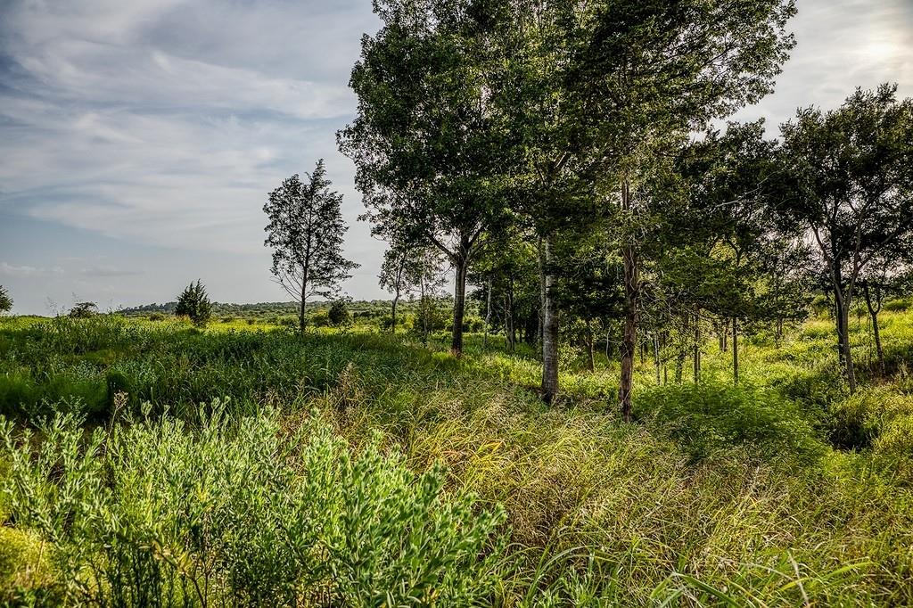 Lot 10 Hargrove Lane