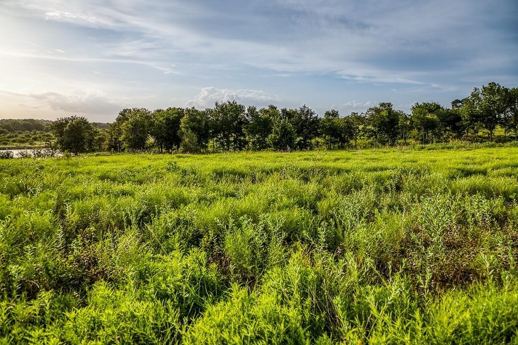 Lot 10 Hargrove Lane