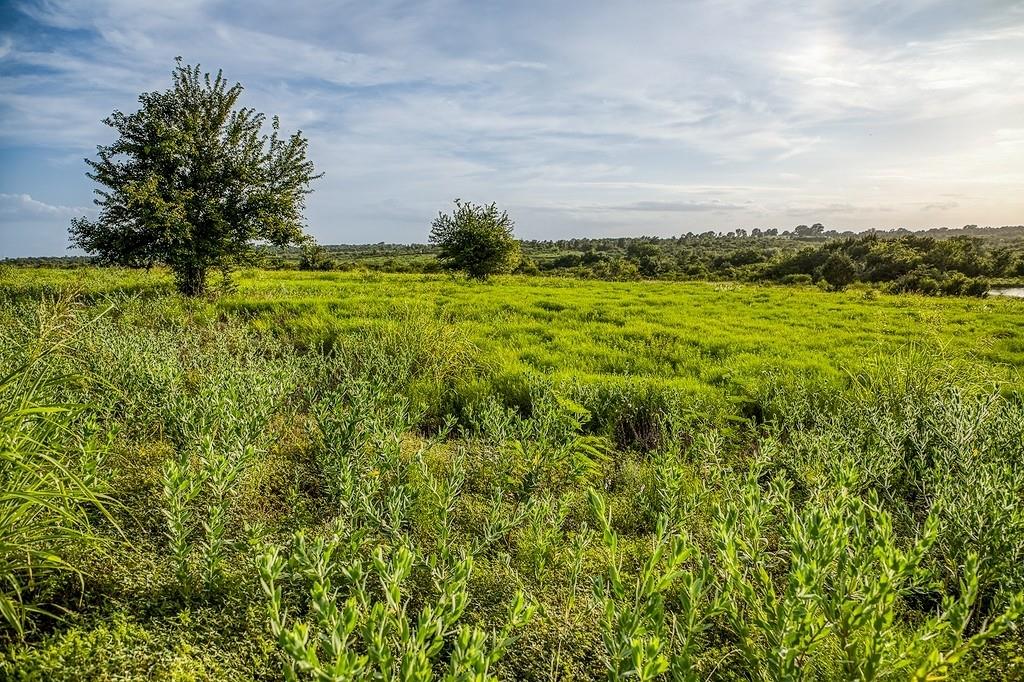 Lot 10 Hargrove Lane