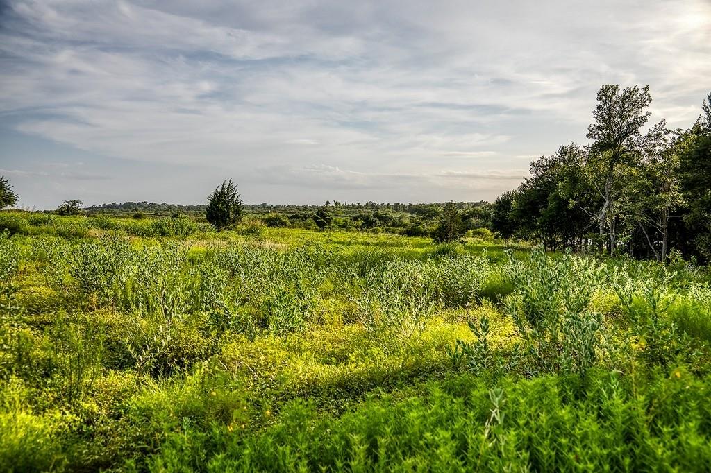 Lot 10 Hargrove Lane