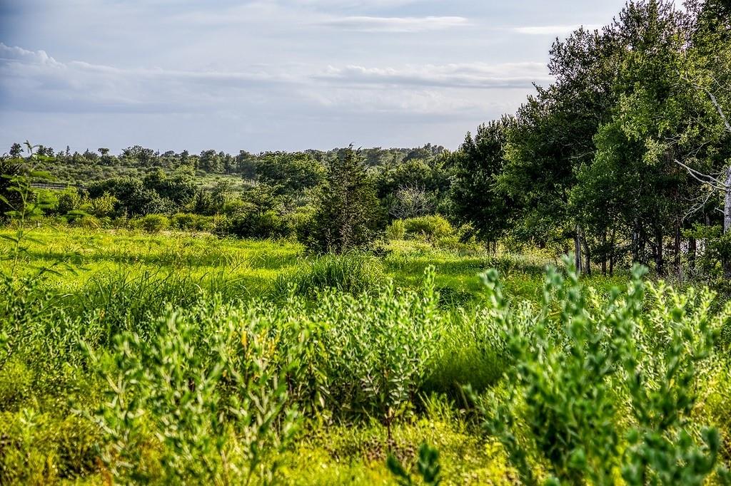 Lot 10 Hargrove Lane