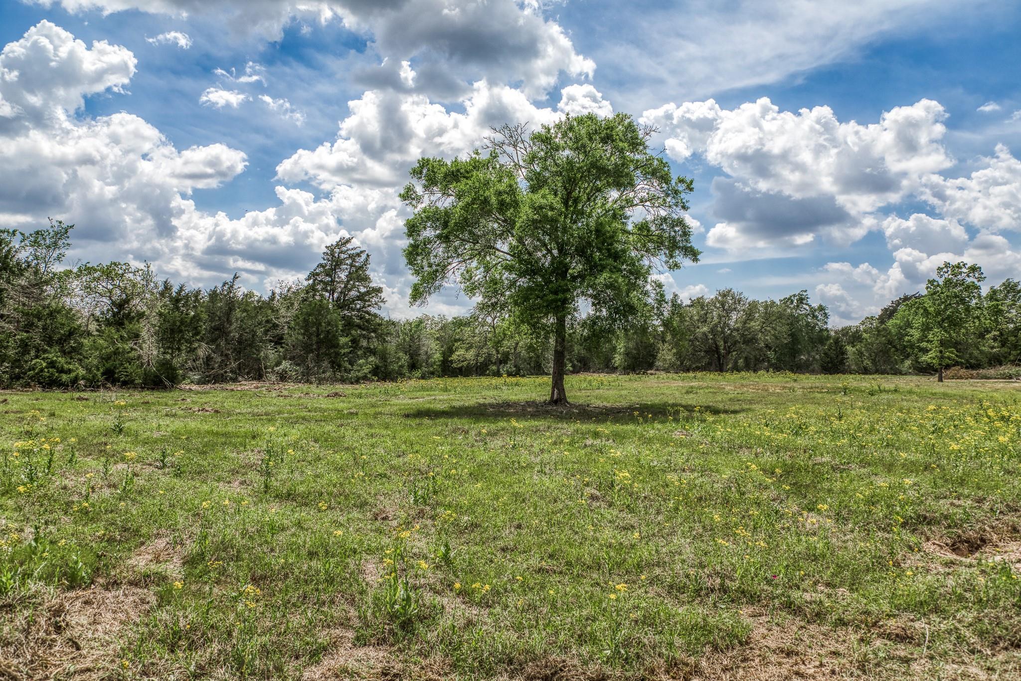 7157 Fm 1697 Tract 2