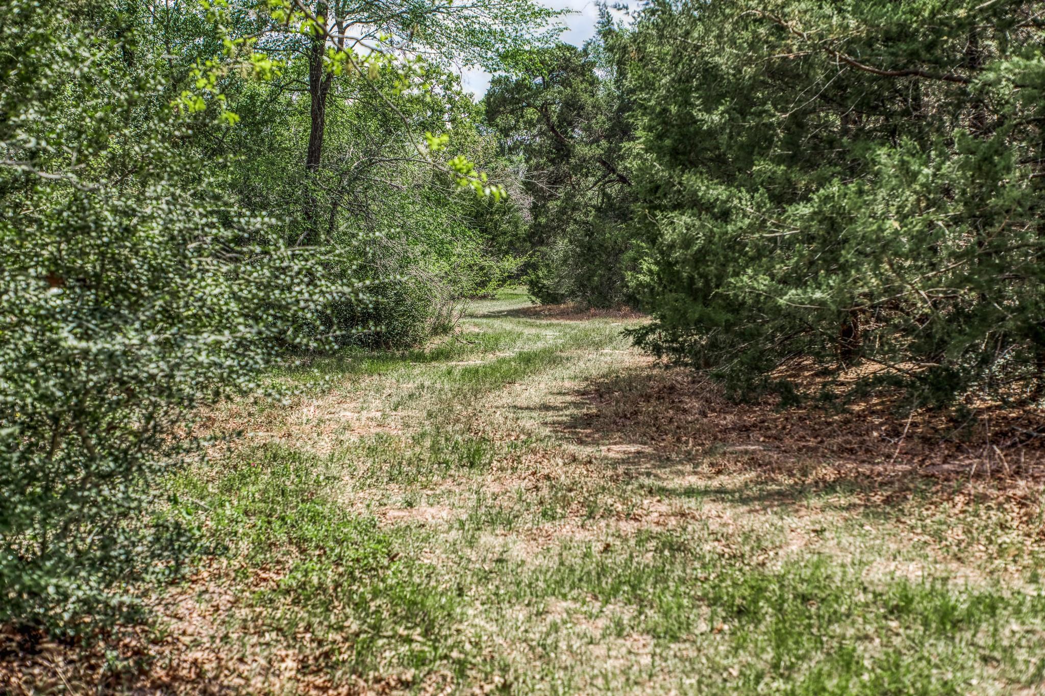 7157 Fm 1697 Tract 2