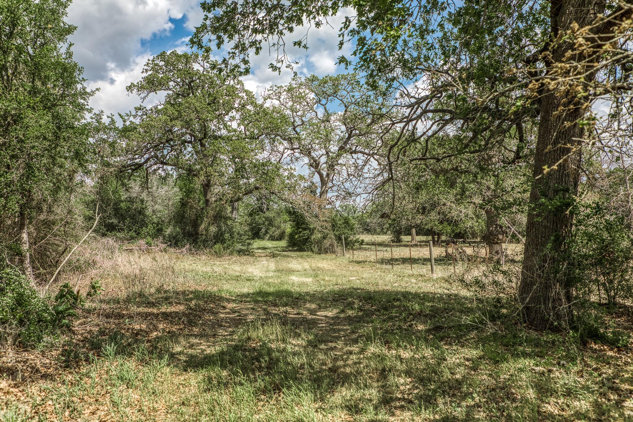 7157 Fm 1697 Tract 2