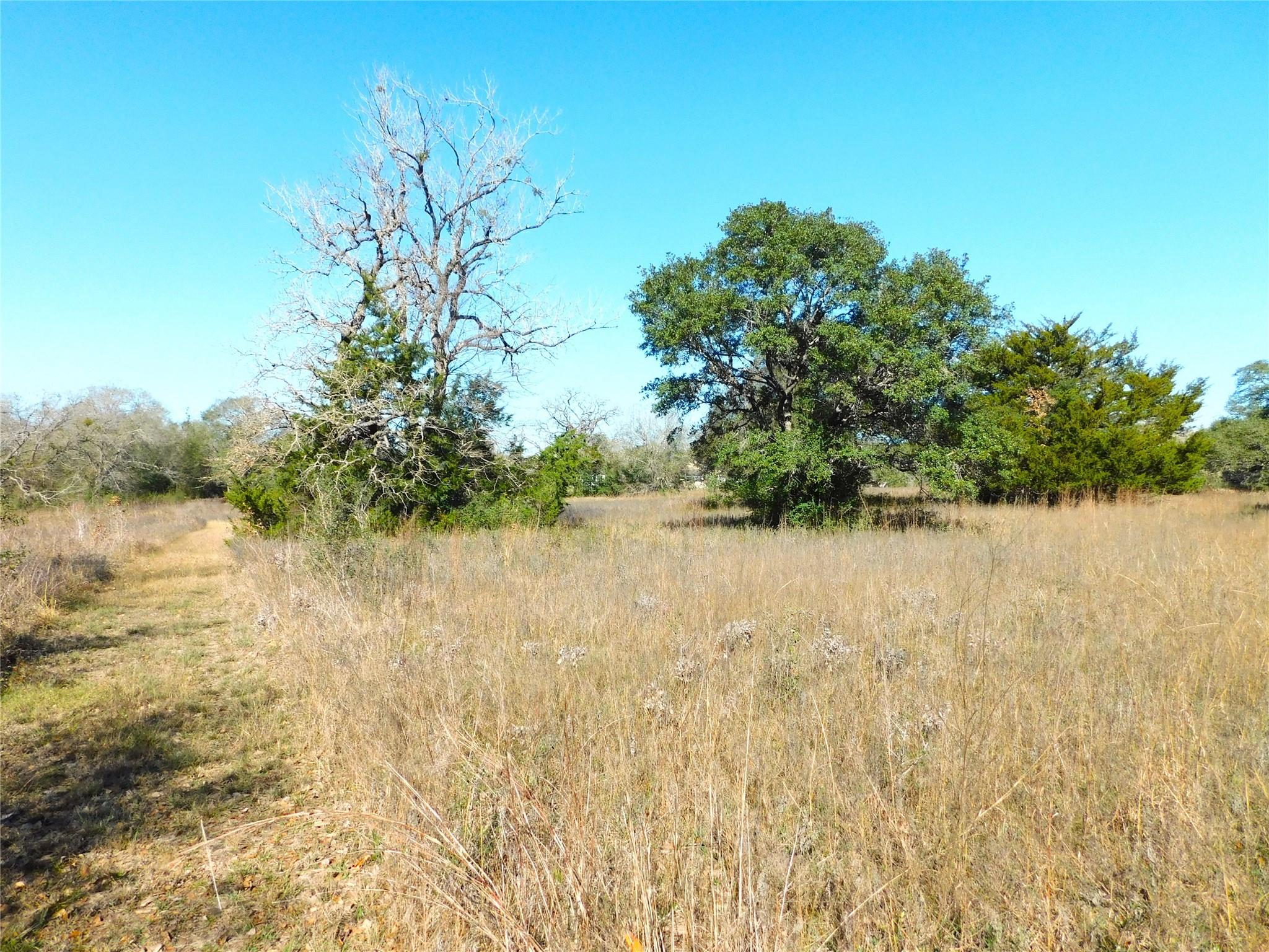 11111 Mt Falls School Road