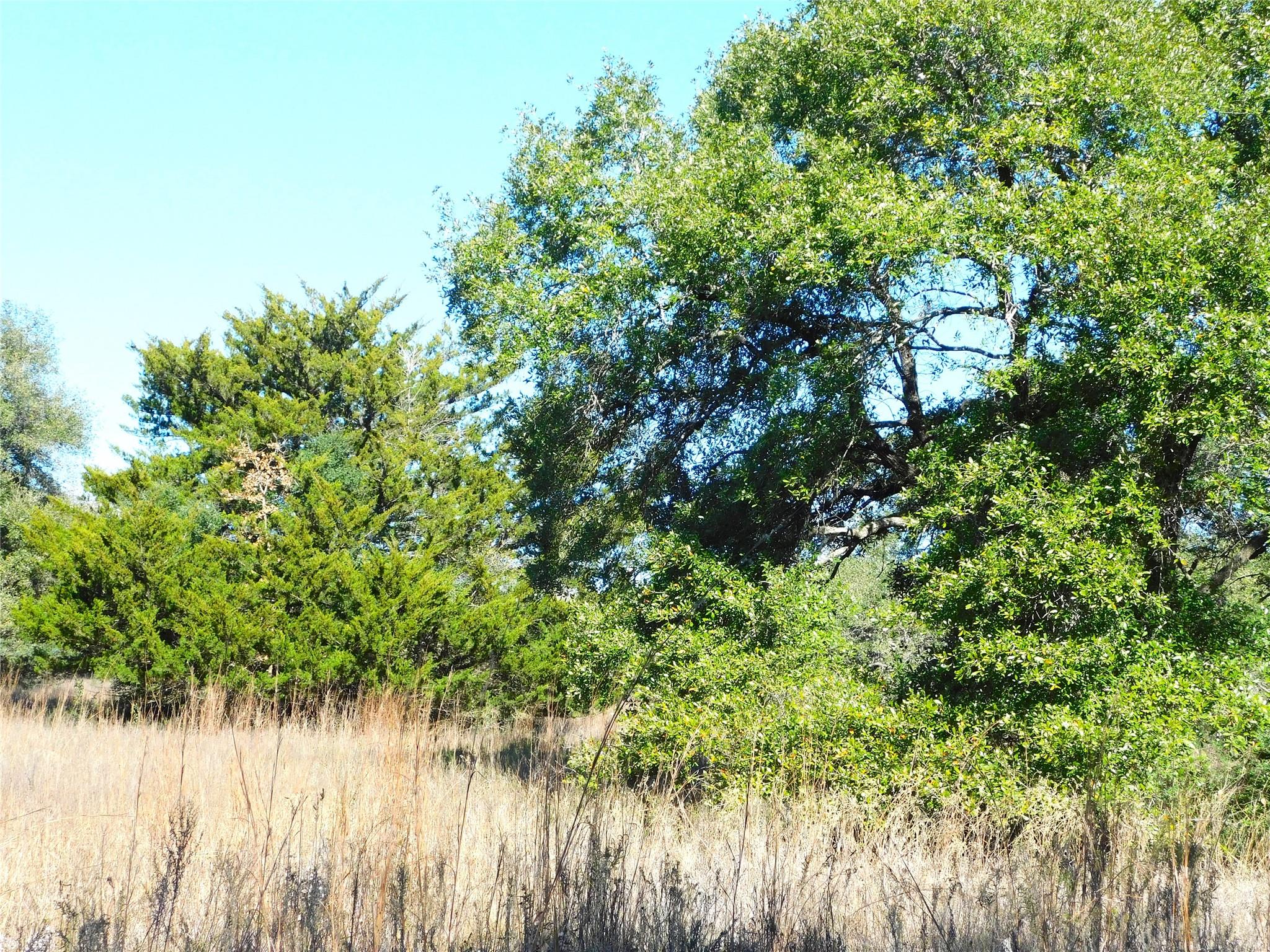 11111 Mt Falls School Road