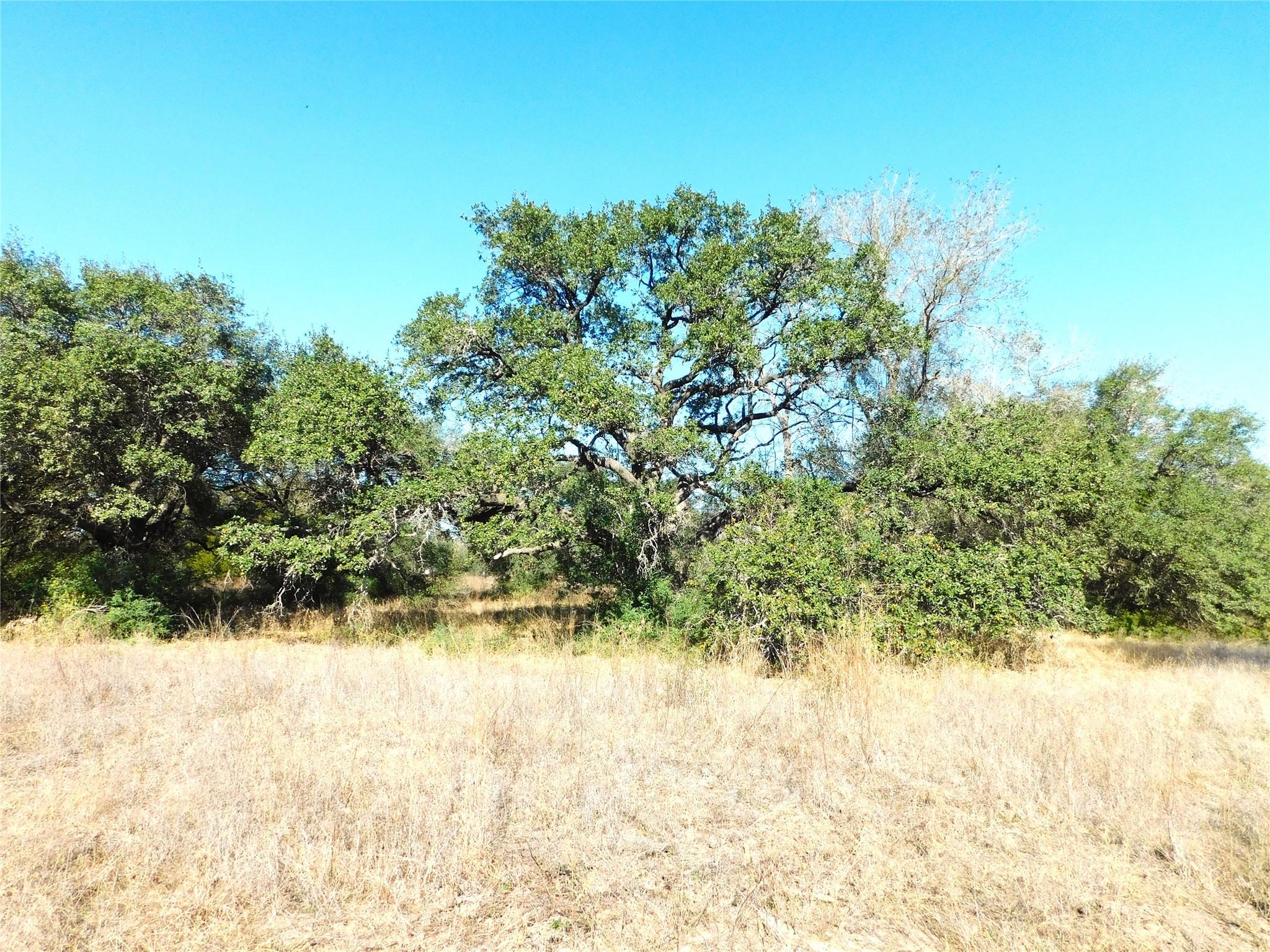 11111 Mt Falls School Road