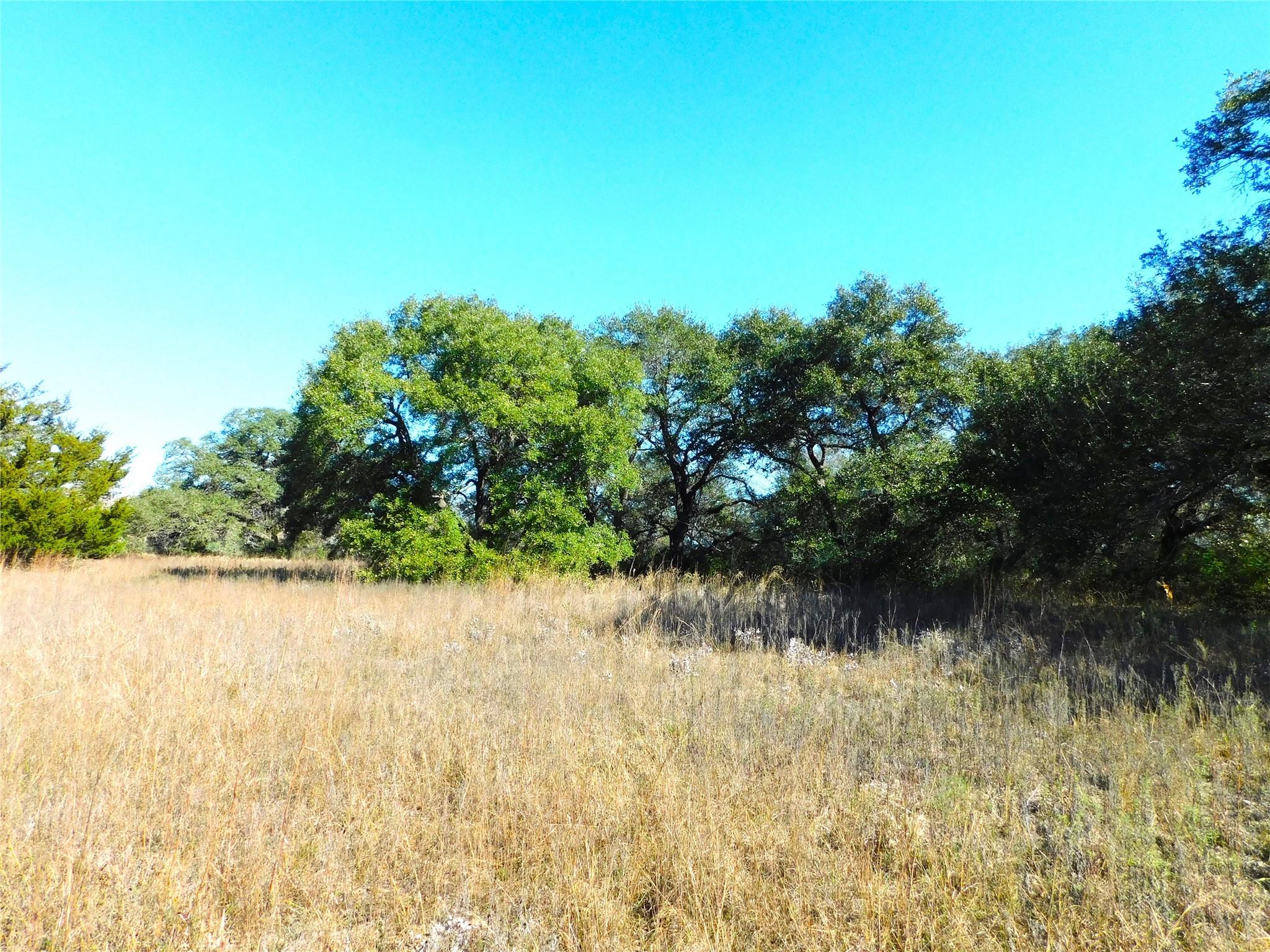 11111 Mt Falls School Road