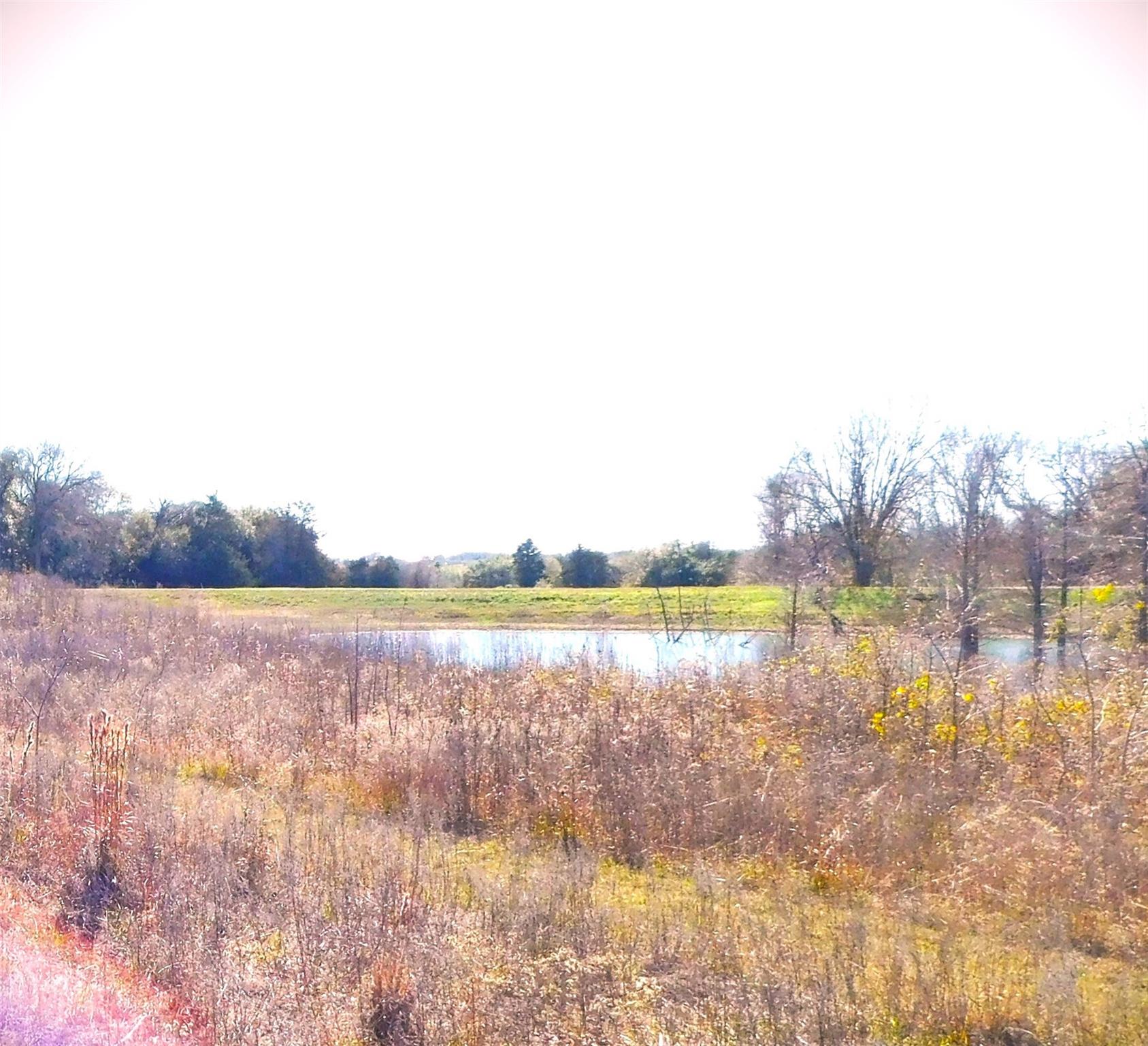 11111 Mt Falls School Road