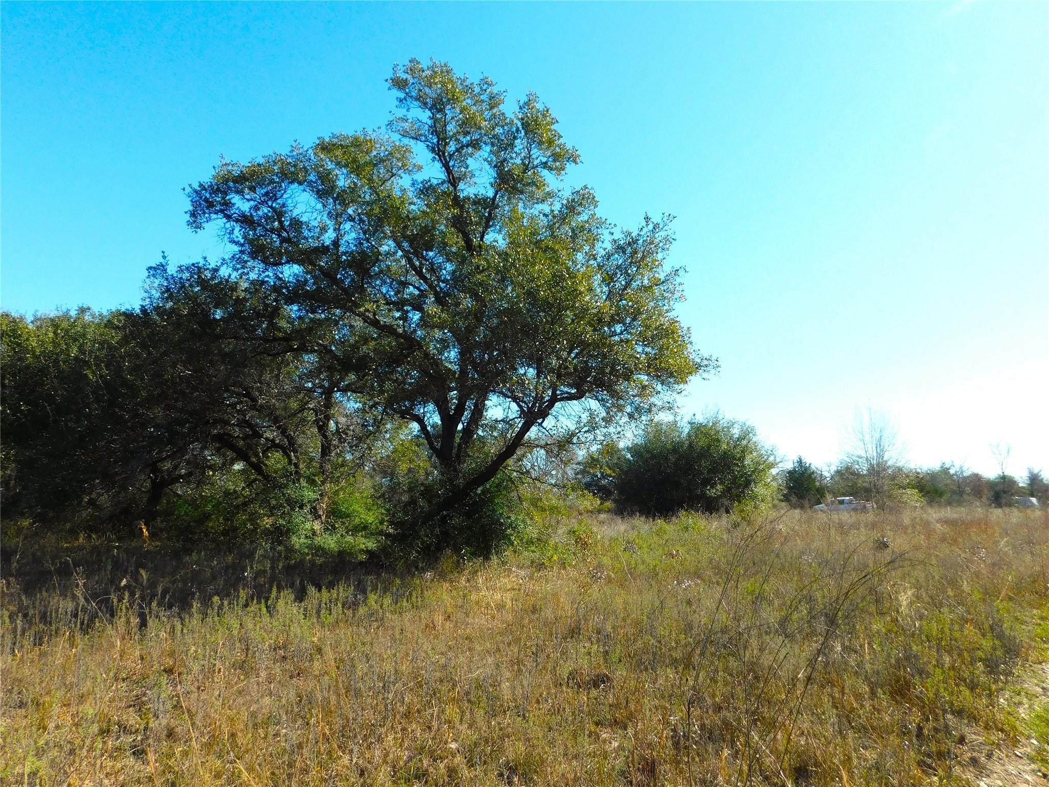 11111 Mt Falls School Road