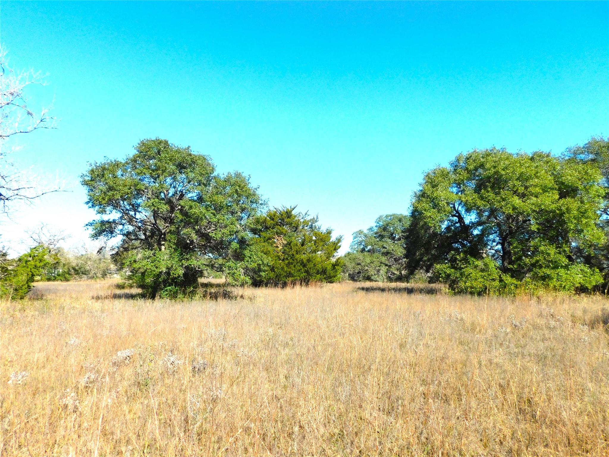 11111 Mt Falls School Road