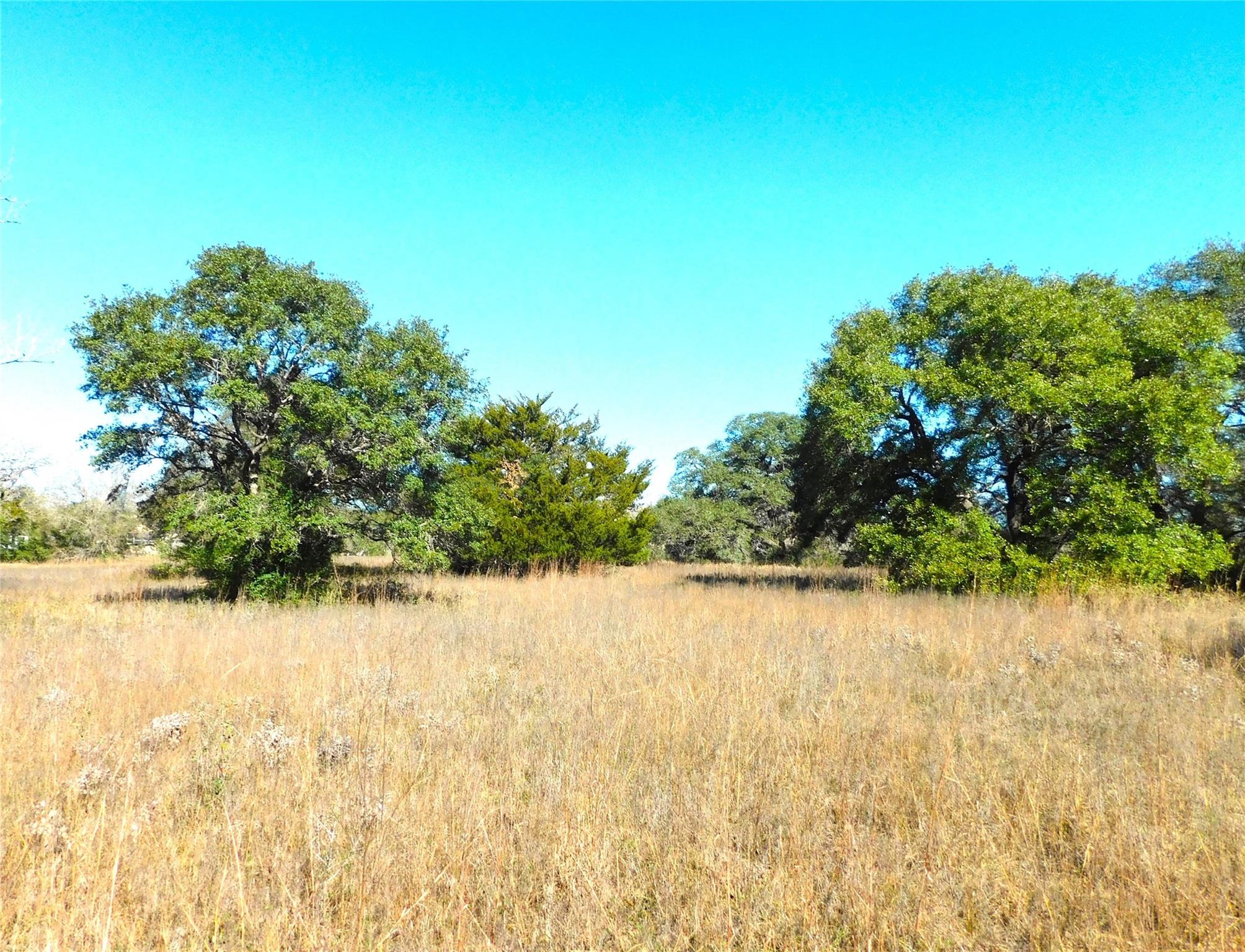 11111 Mt Falls School Road