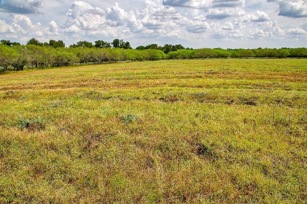 4750 Highway 290