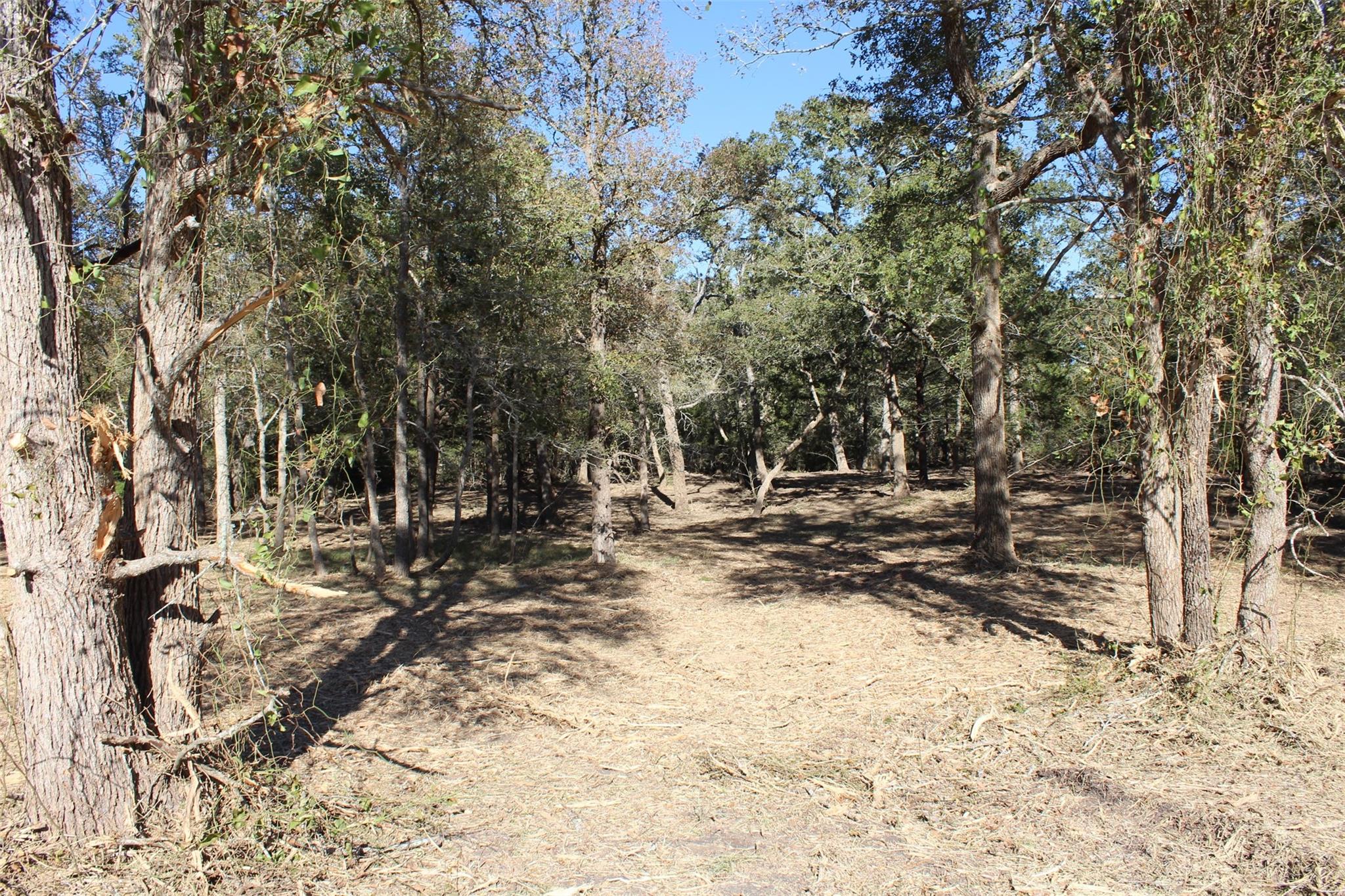 12640 Park Road 57