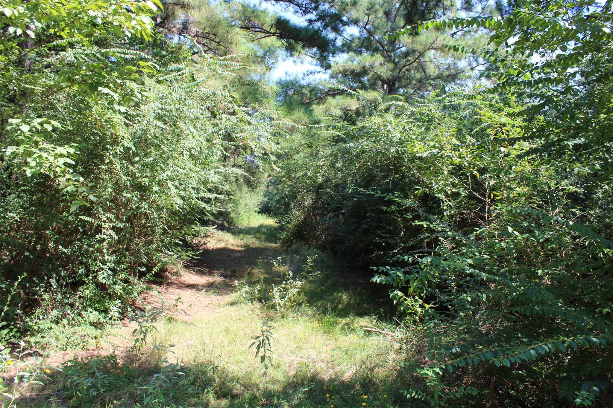 0 Falcon Lane