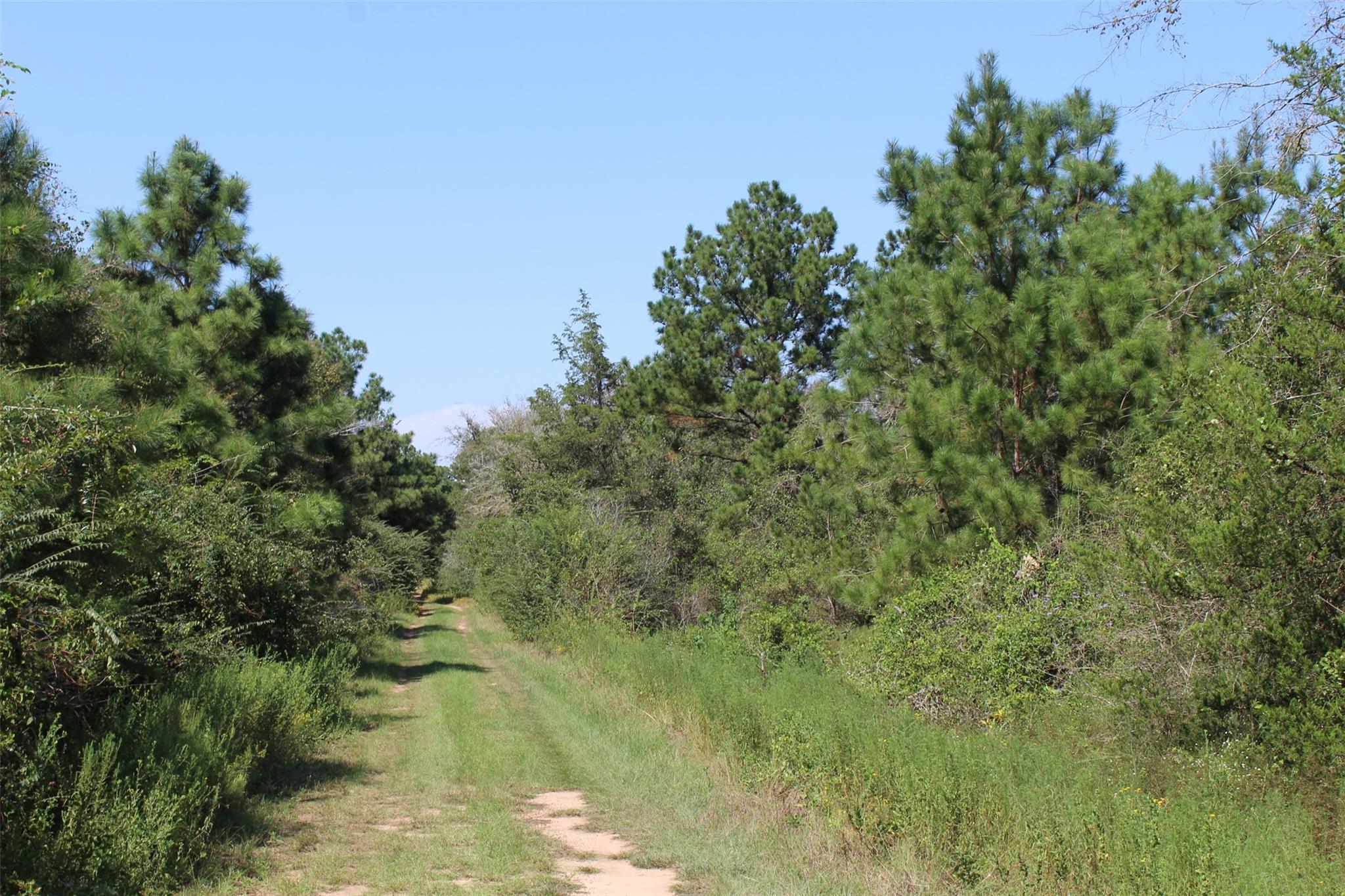0 Falcon Lane