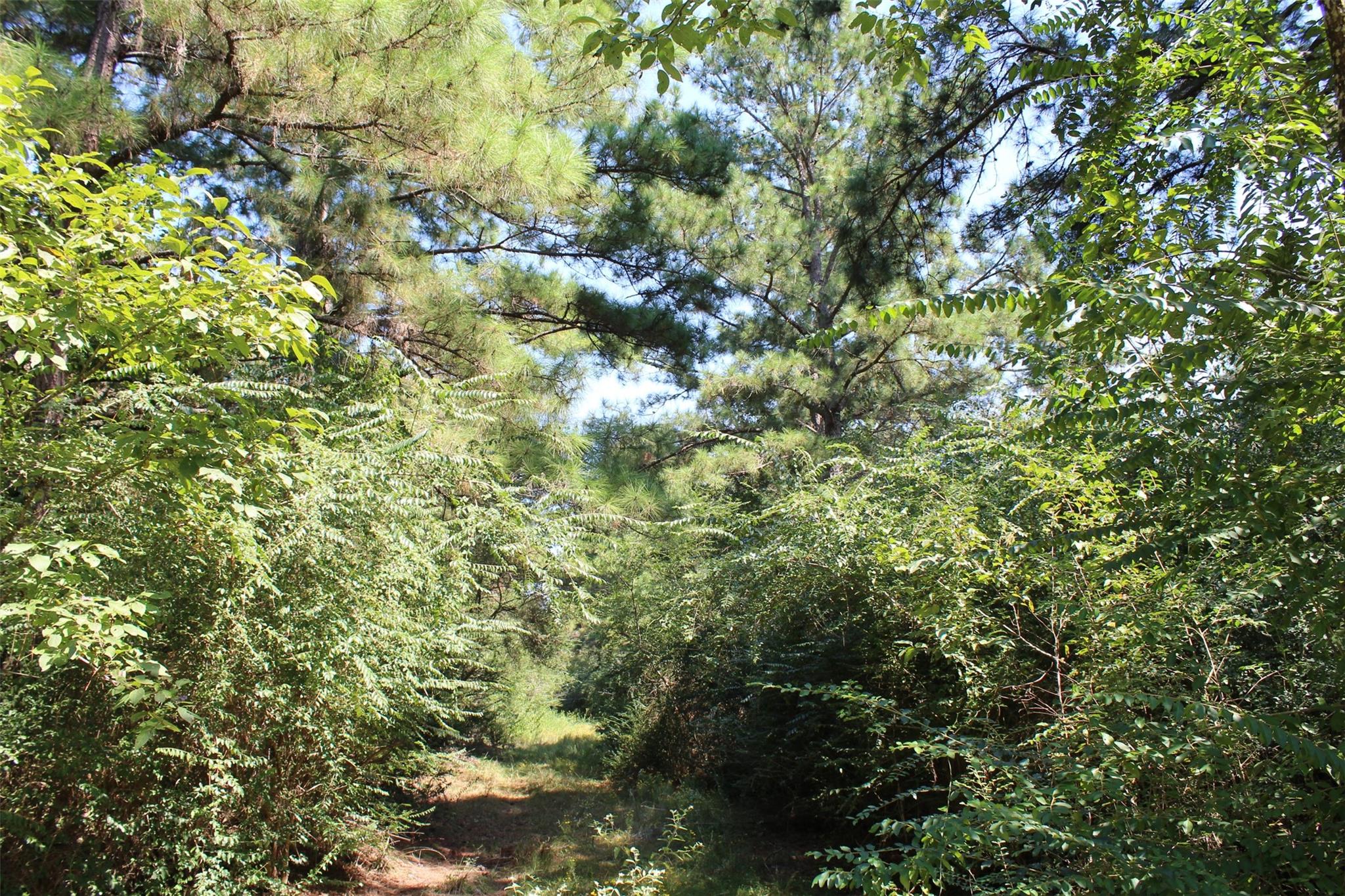 0 Falcon Lane