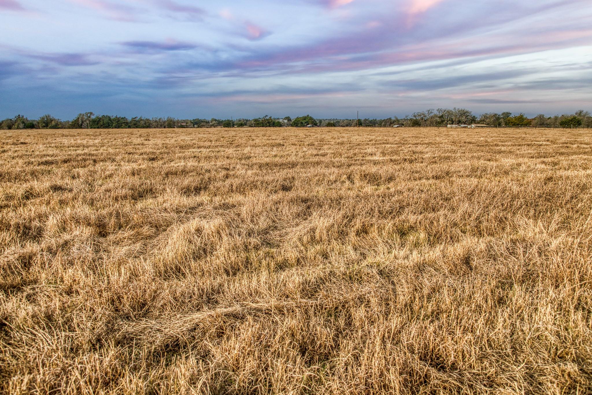 10444 County Road 318