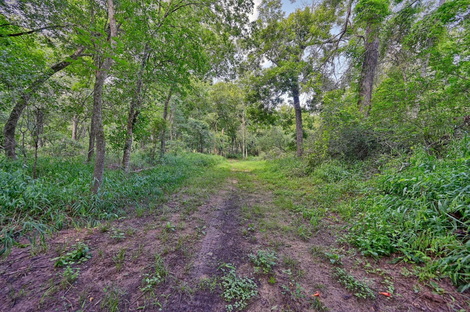 39577 Mesquite