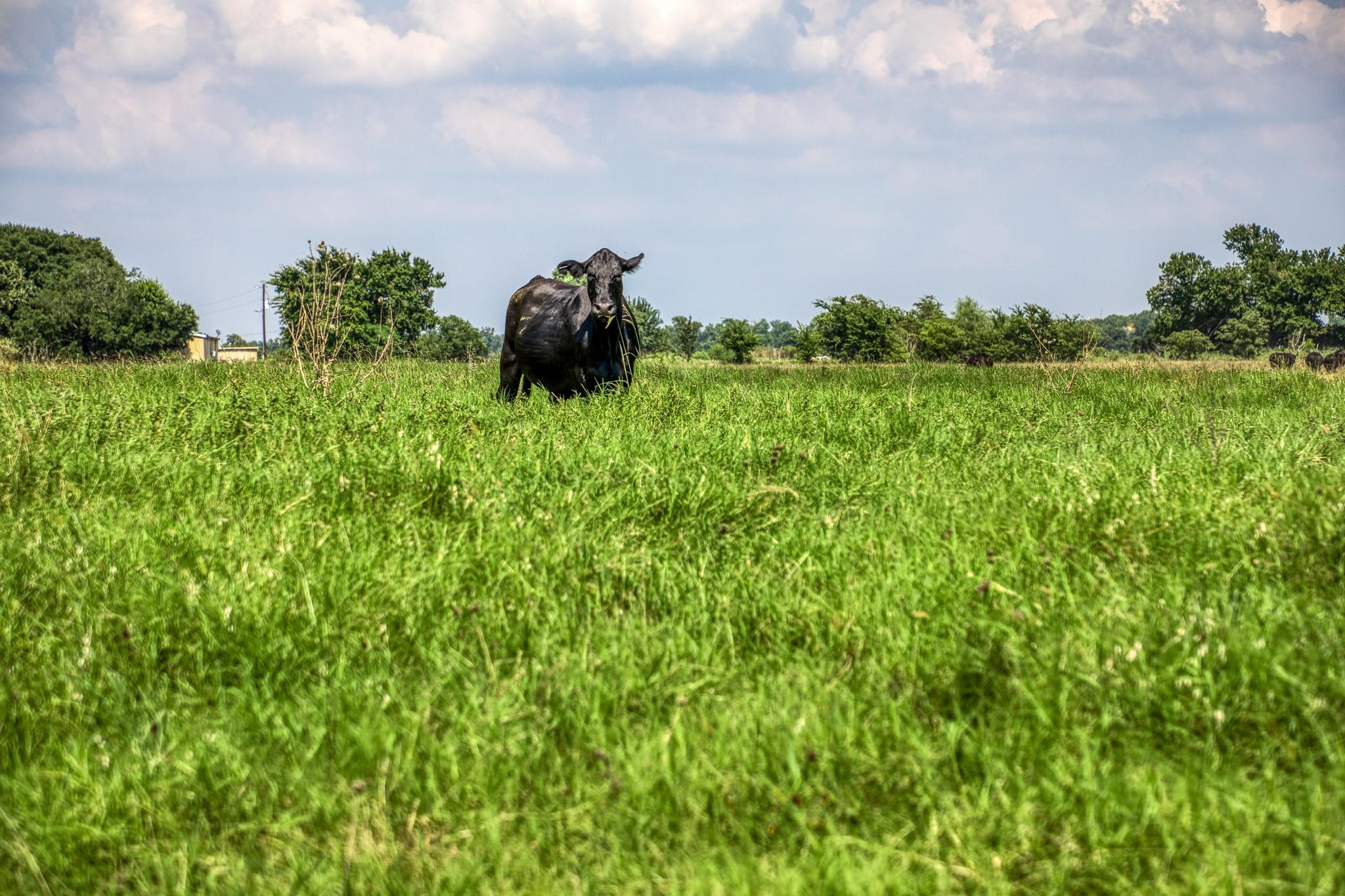 0 0 0 0 0 Flat Prairie Road Road