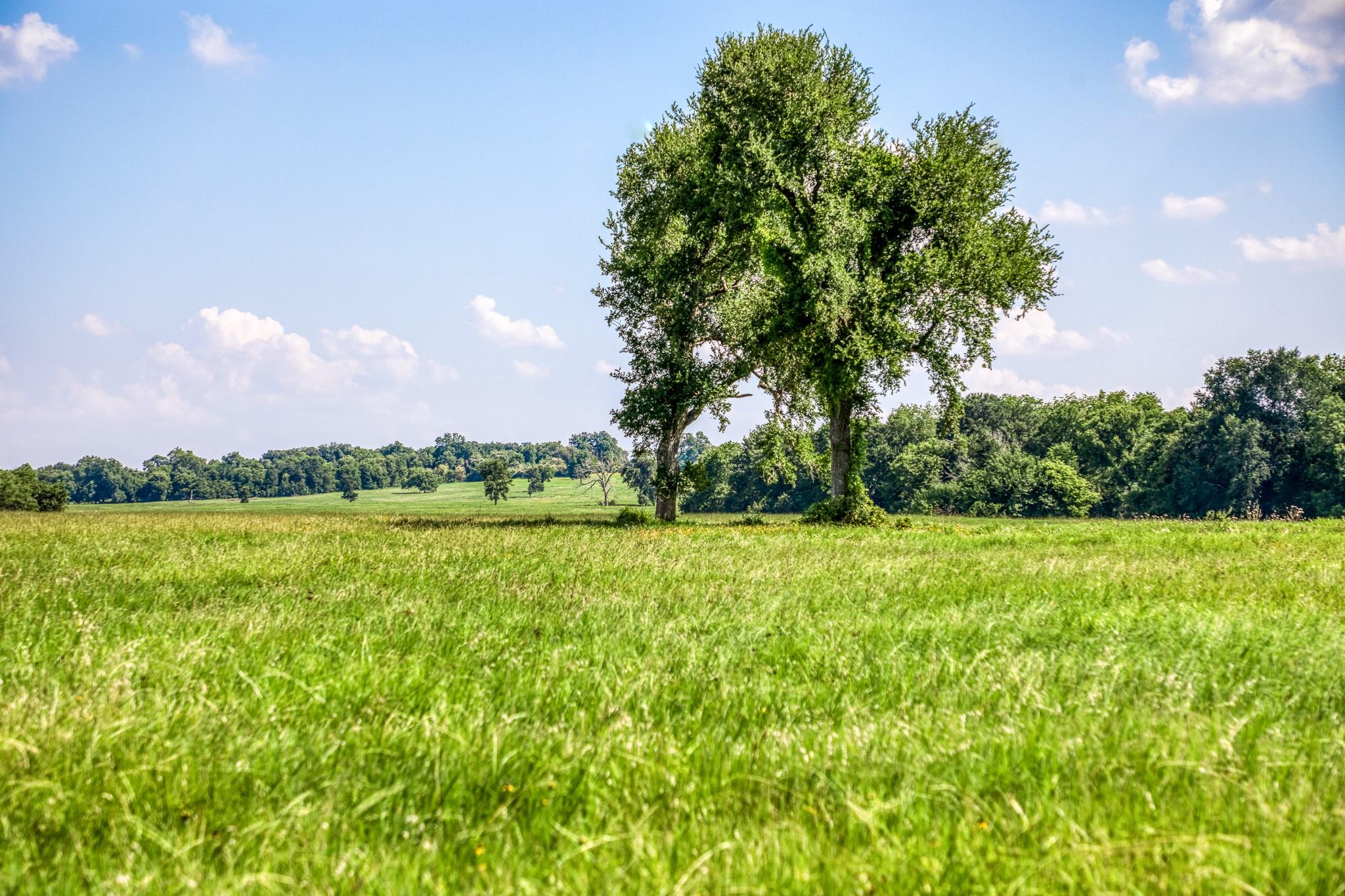 0 0 0 0 0 Flat Prairie Road Road