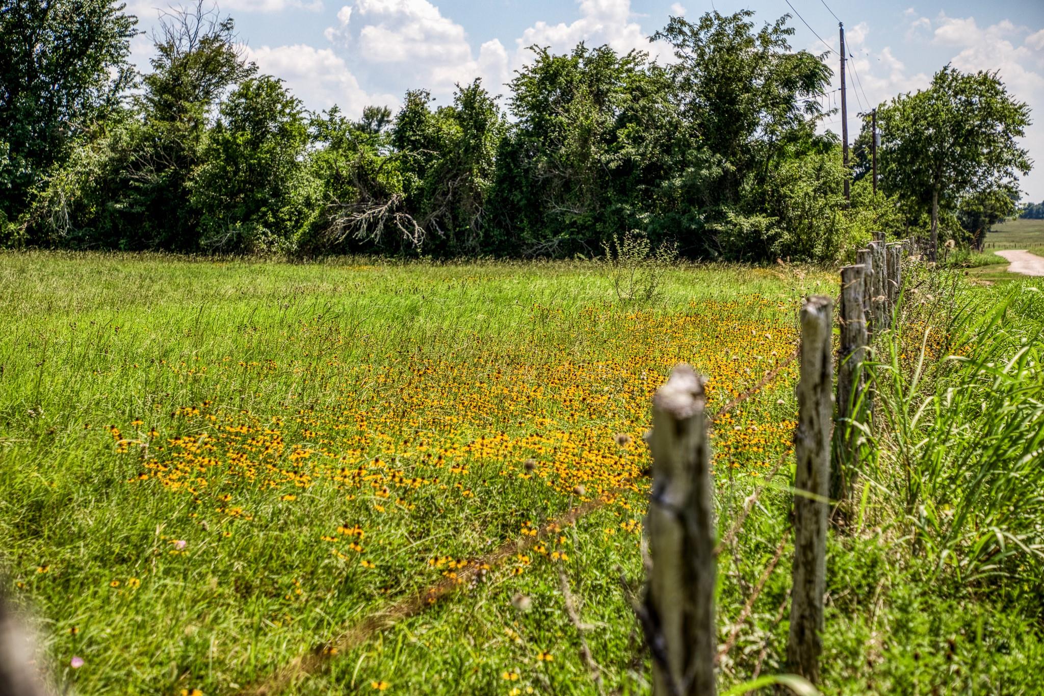 0 0 0 0 0 Flat Prairie Road Road