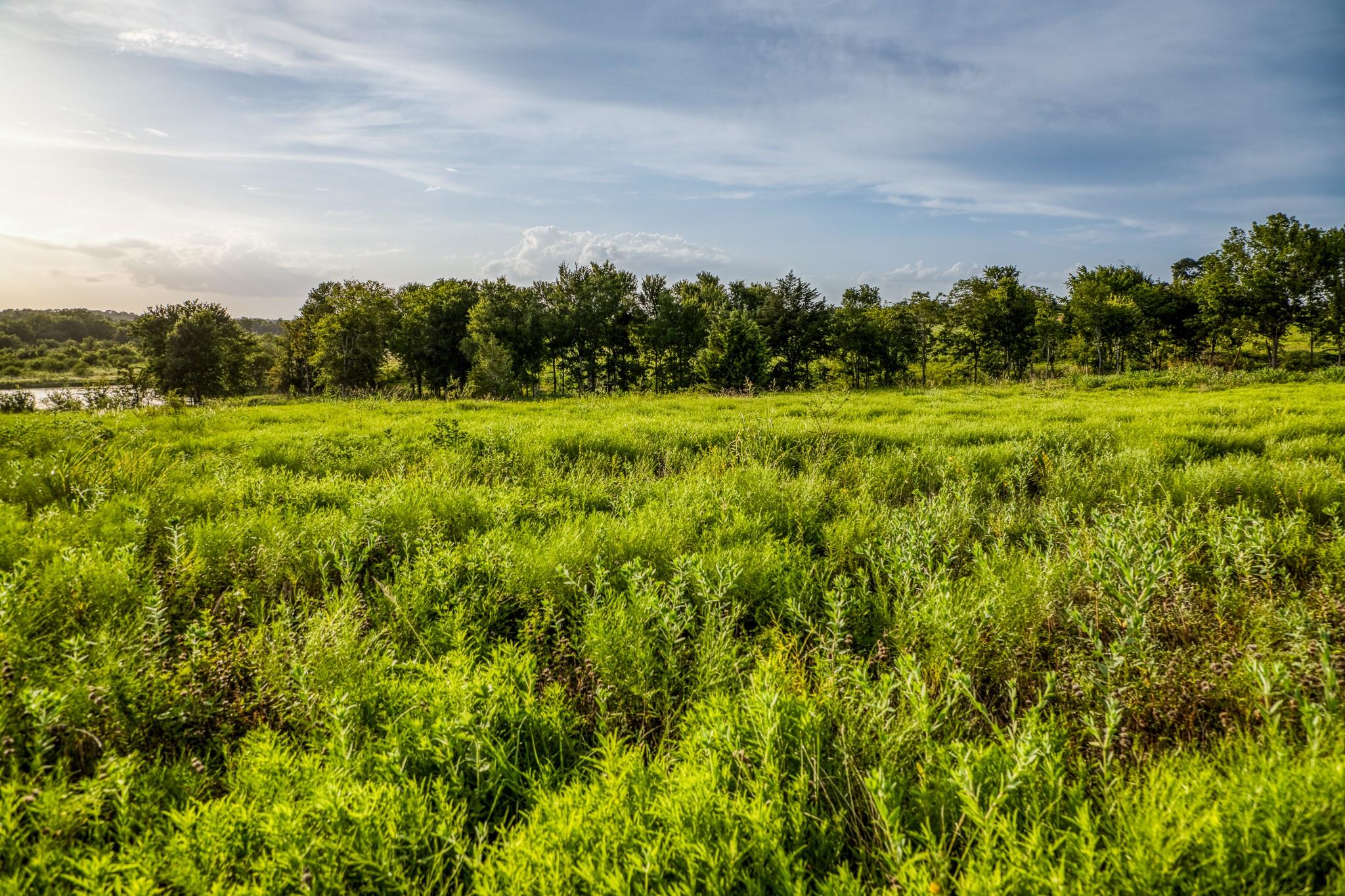 LOT 10 Hargrove Lane