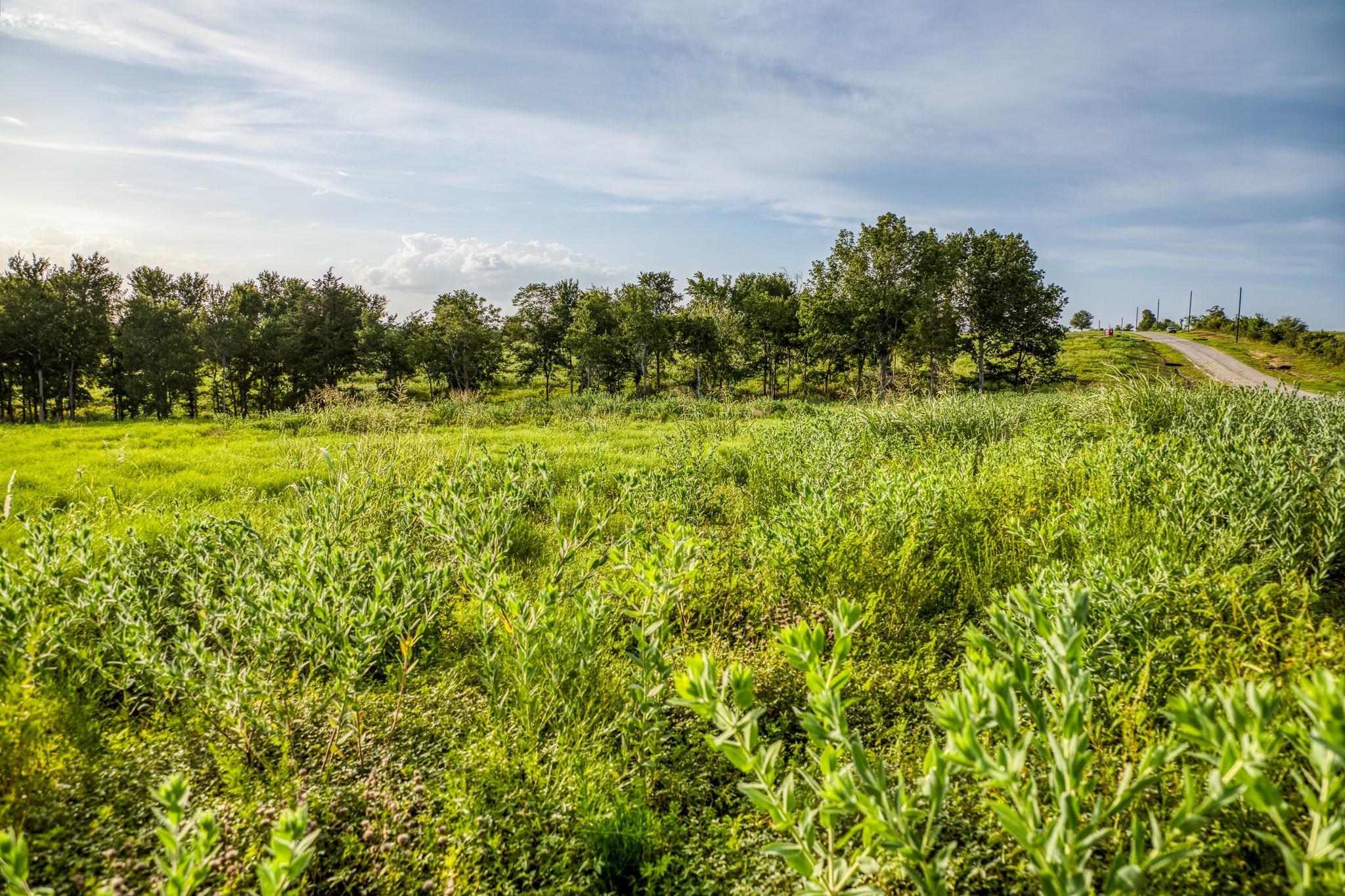 LOT 10 Hargrove Lane