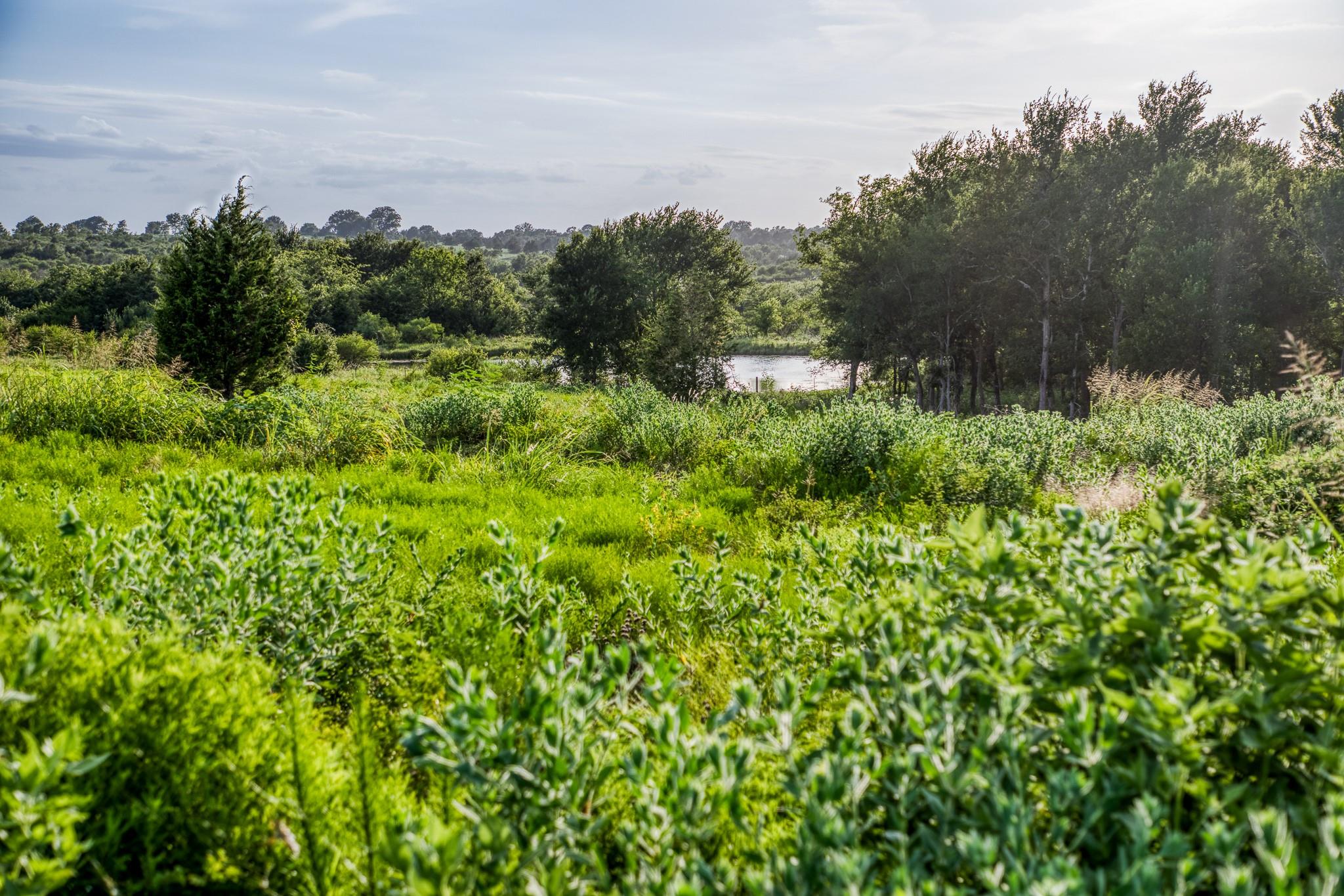 LOT 10 Hargrove Lane