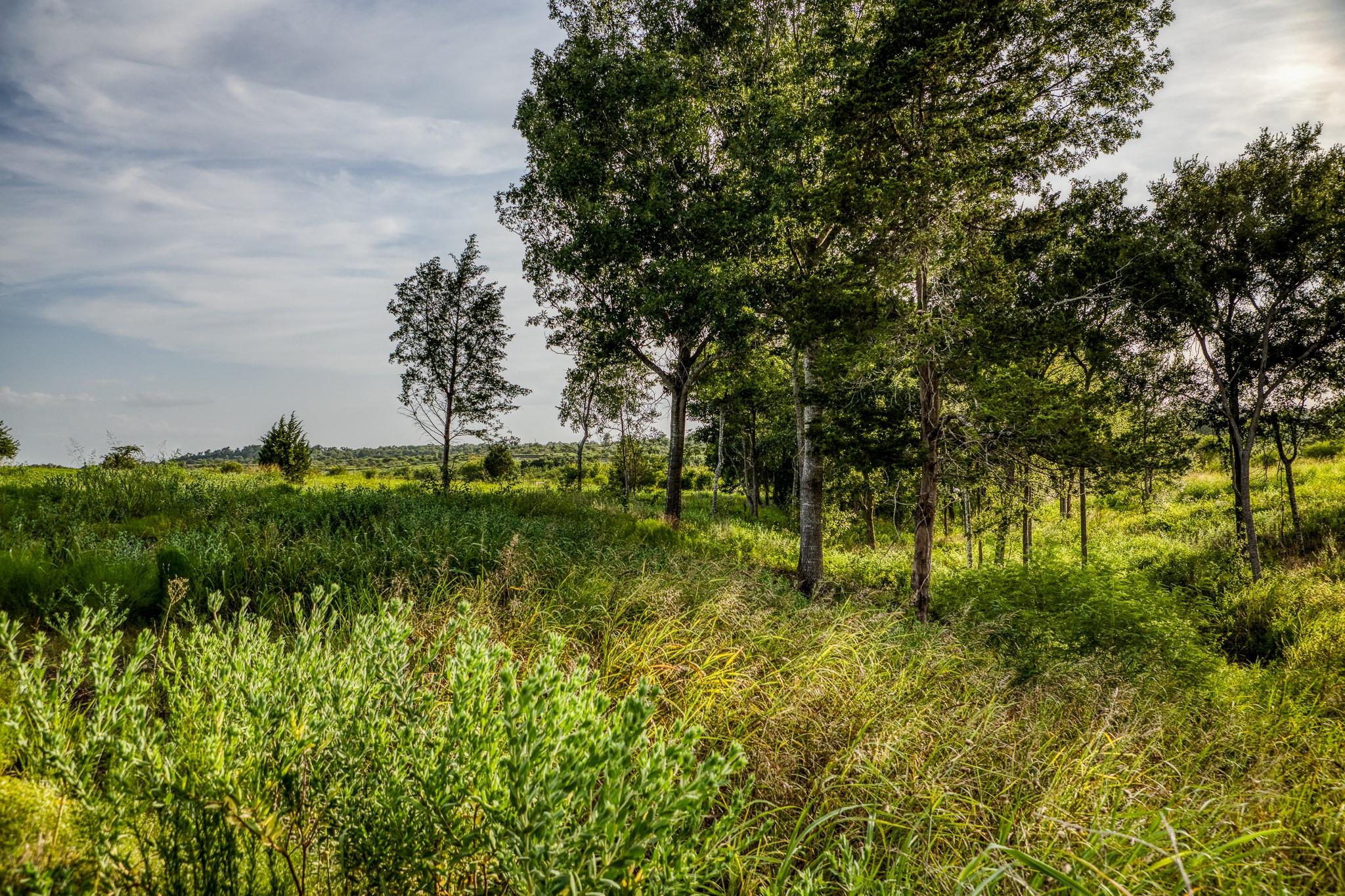 LOT 10 Hargrove Lane