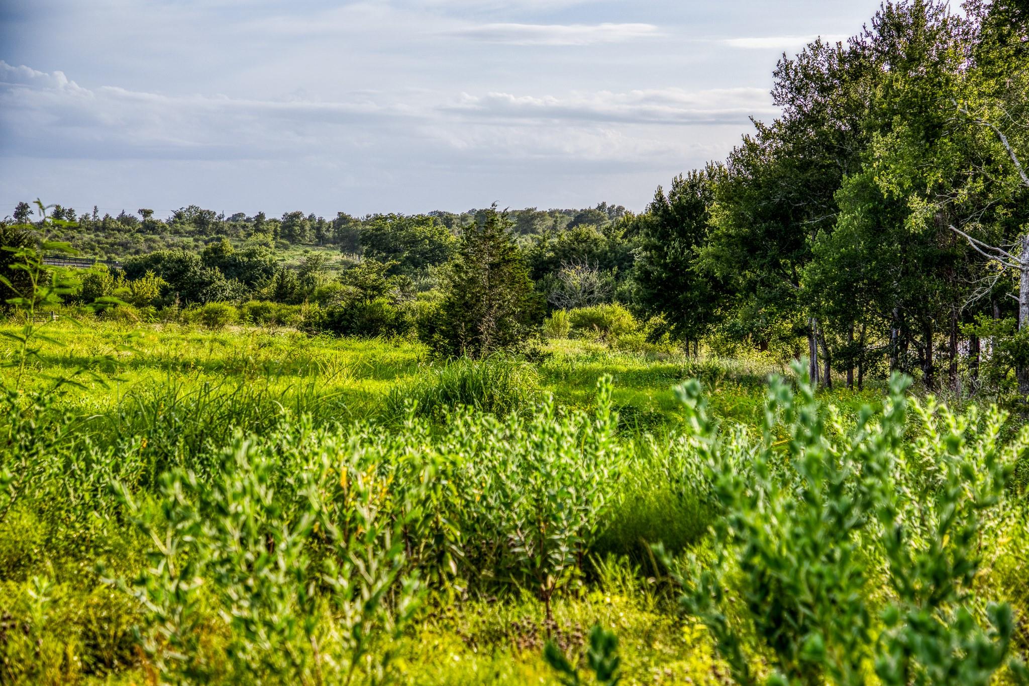 LOT 10 Hargrove Lane