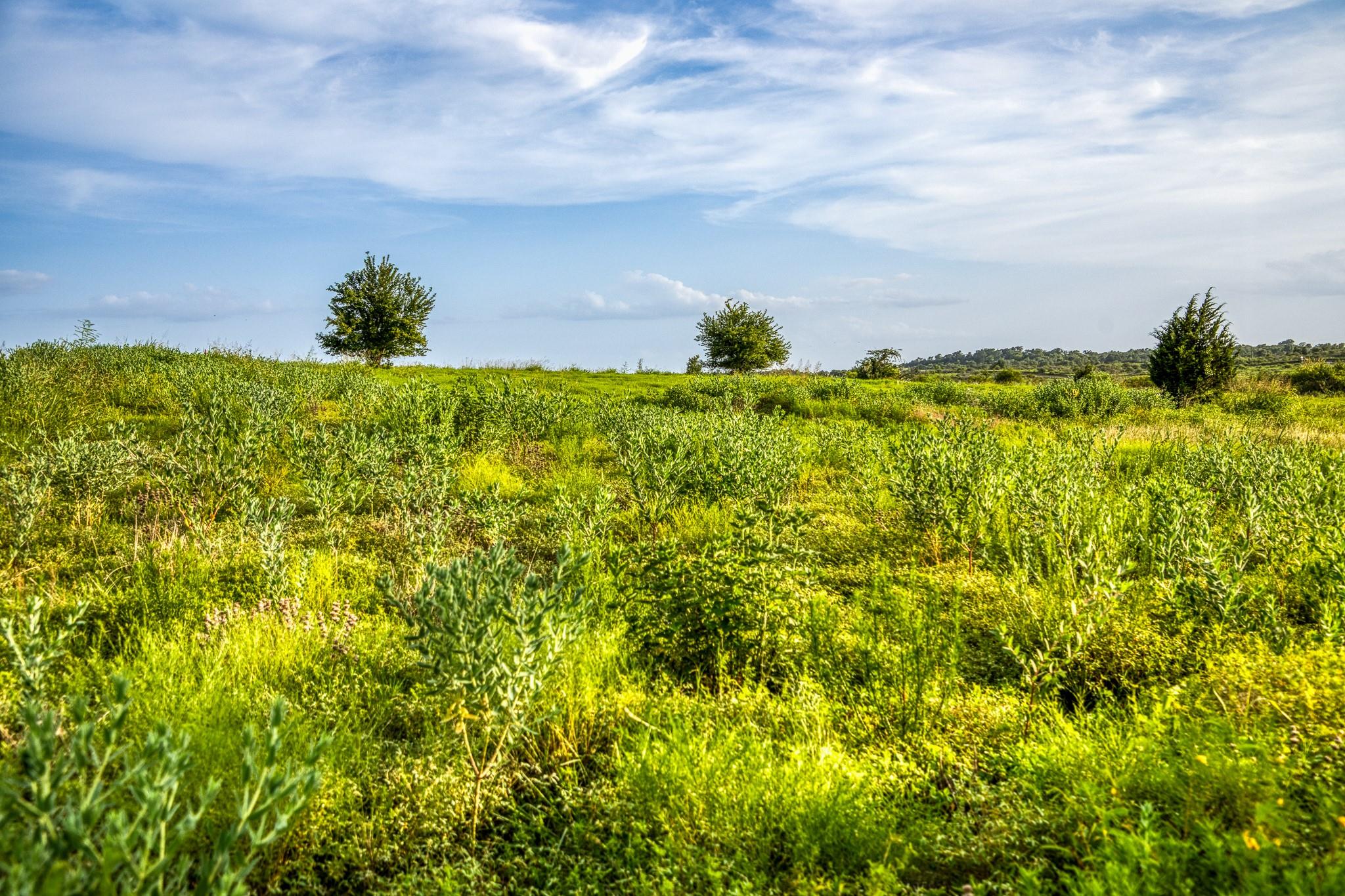 LOT 10 Hargrove Lane