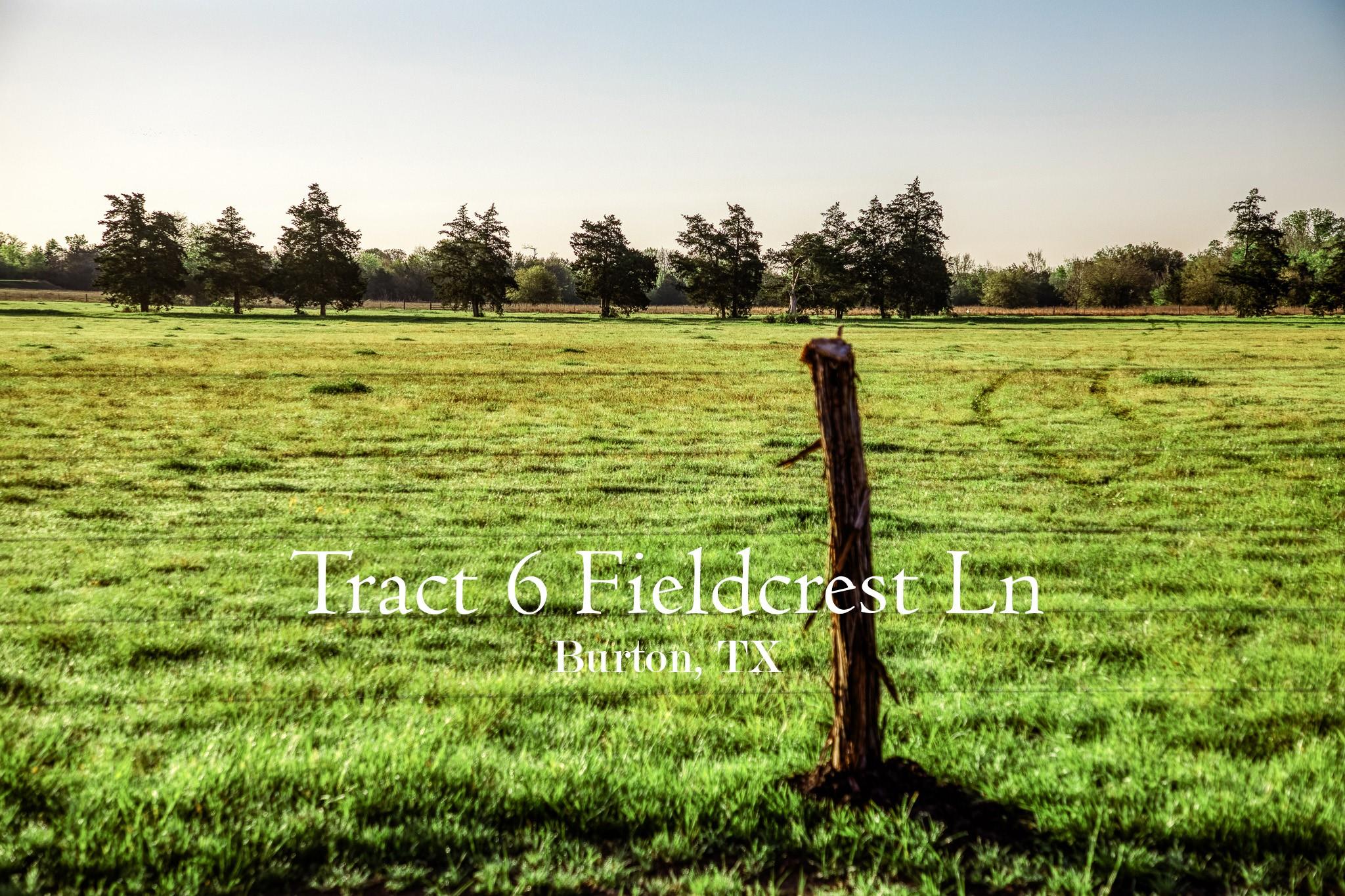 Tract 6 Fieldcrest Ln