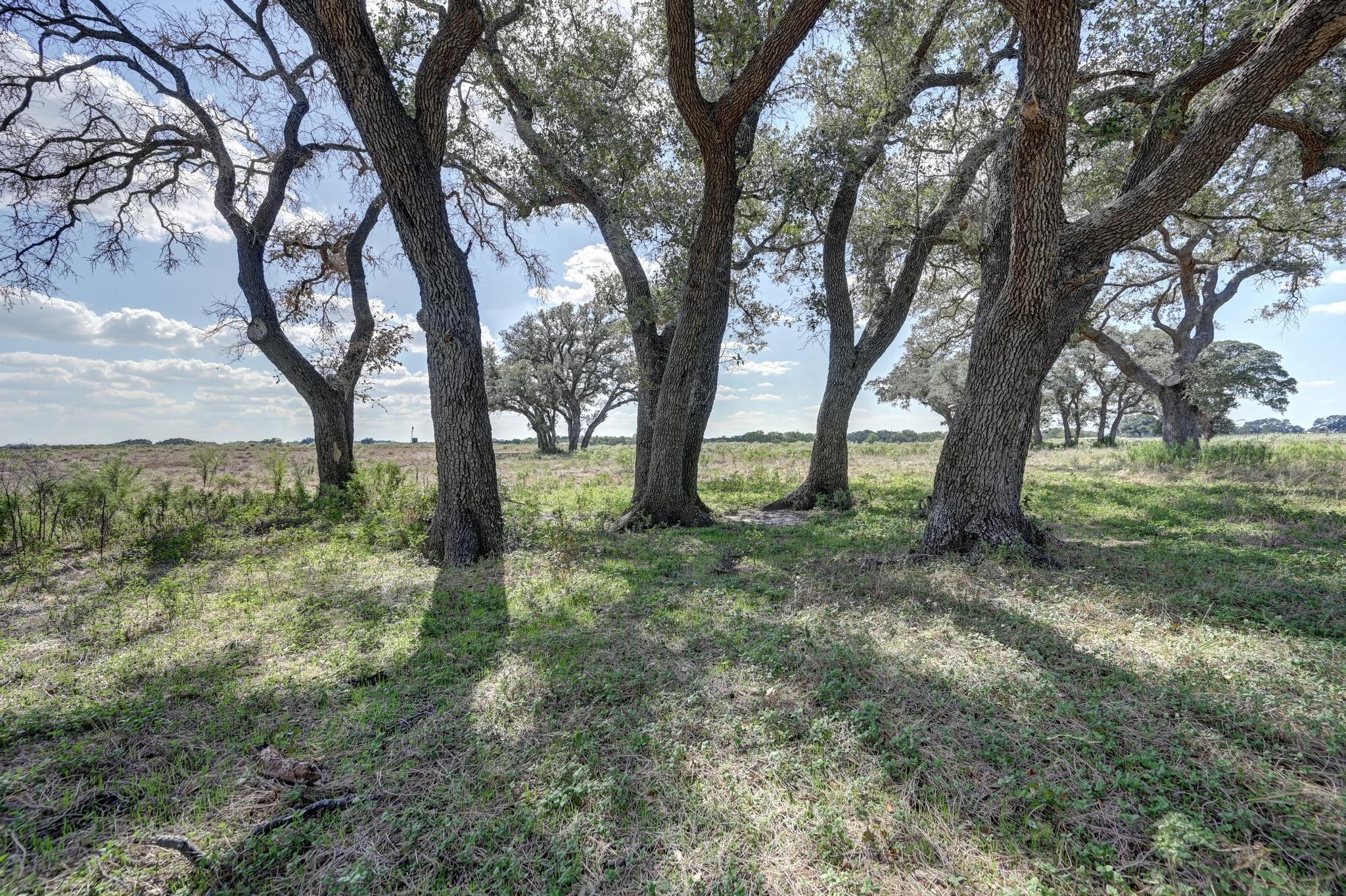 2927 County Road 240