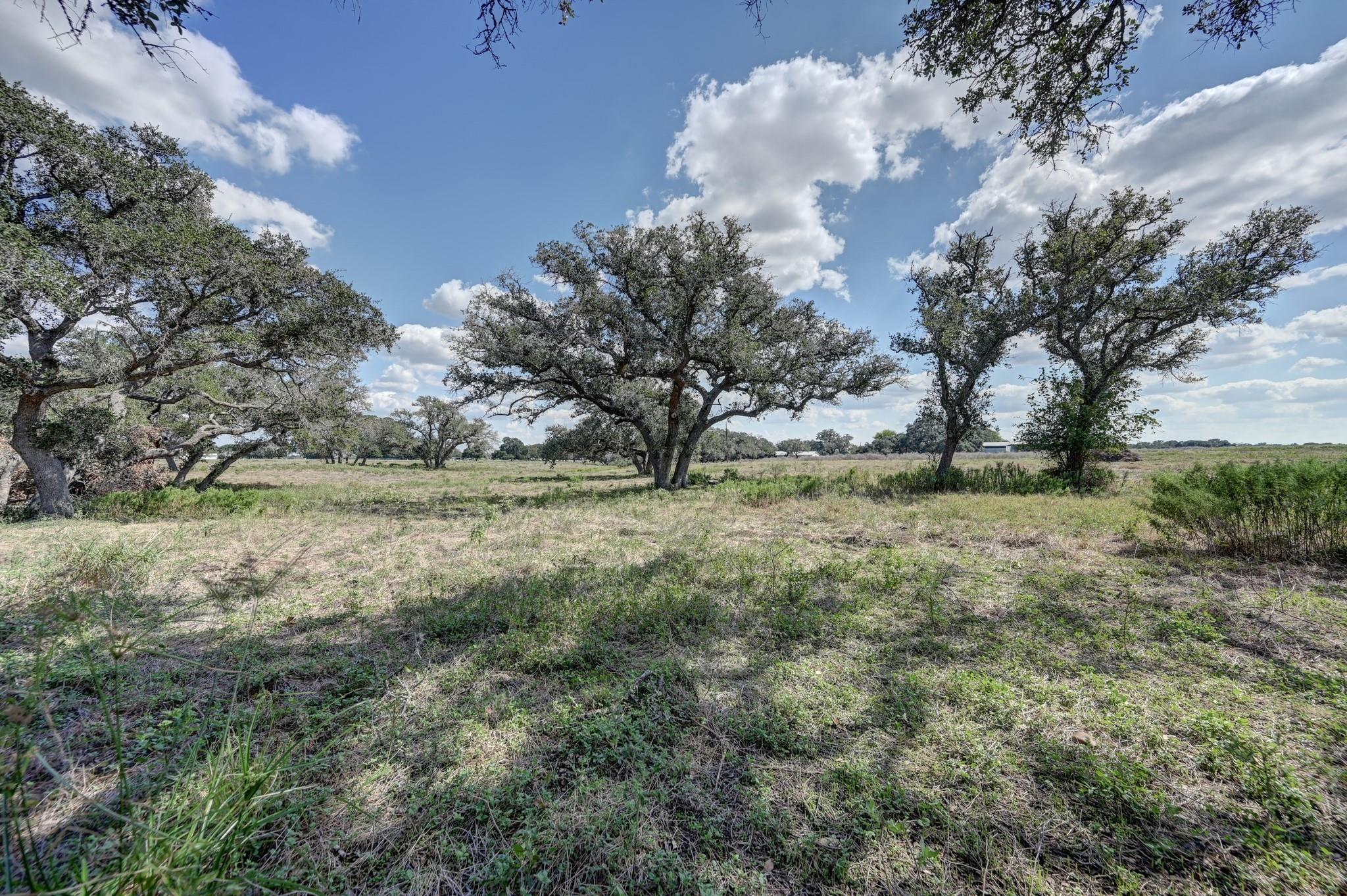 2927 County Road 240