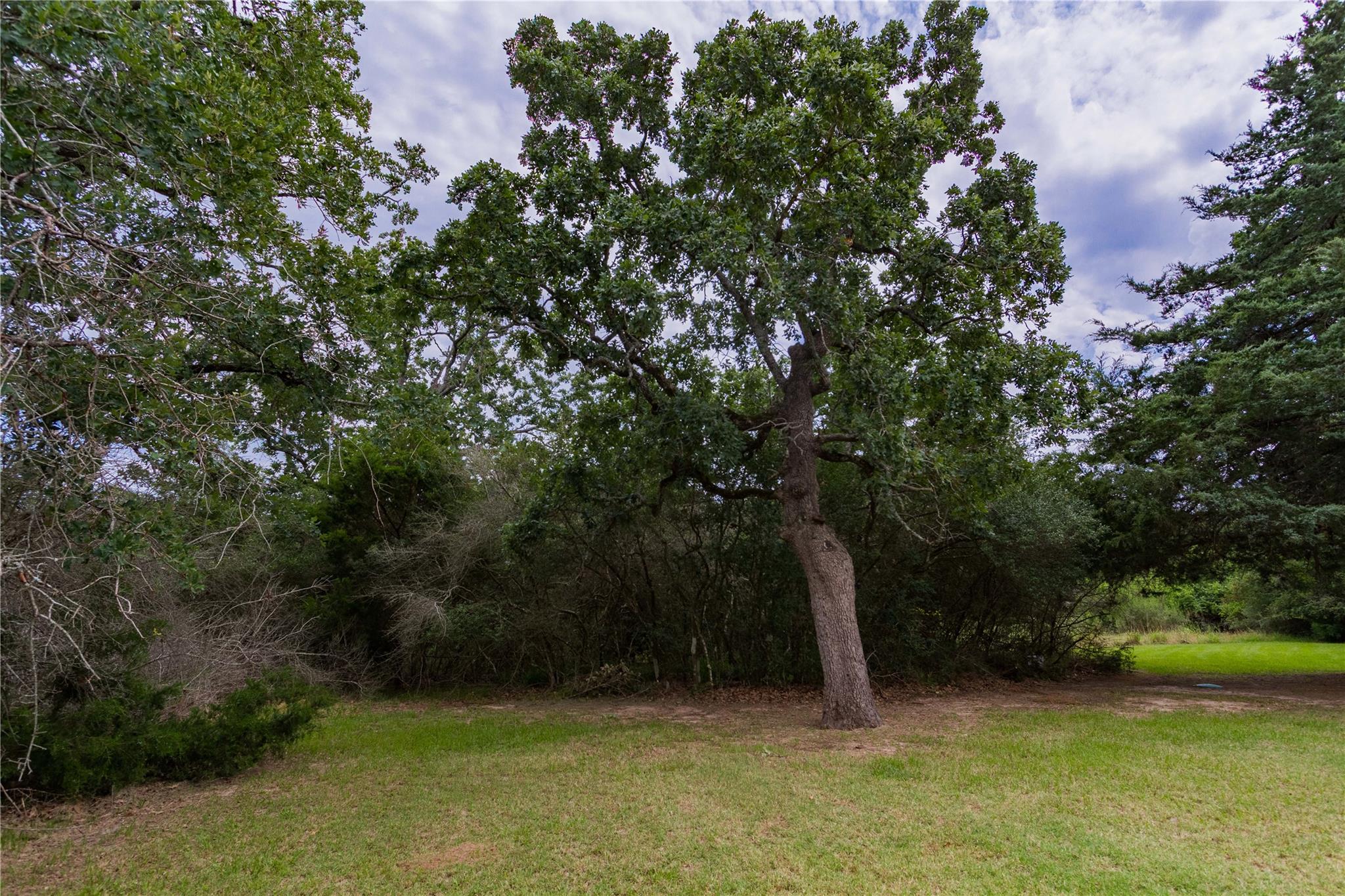 427 Yegua Creek Lane