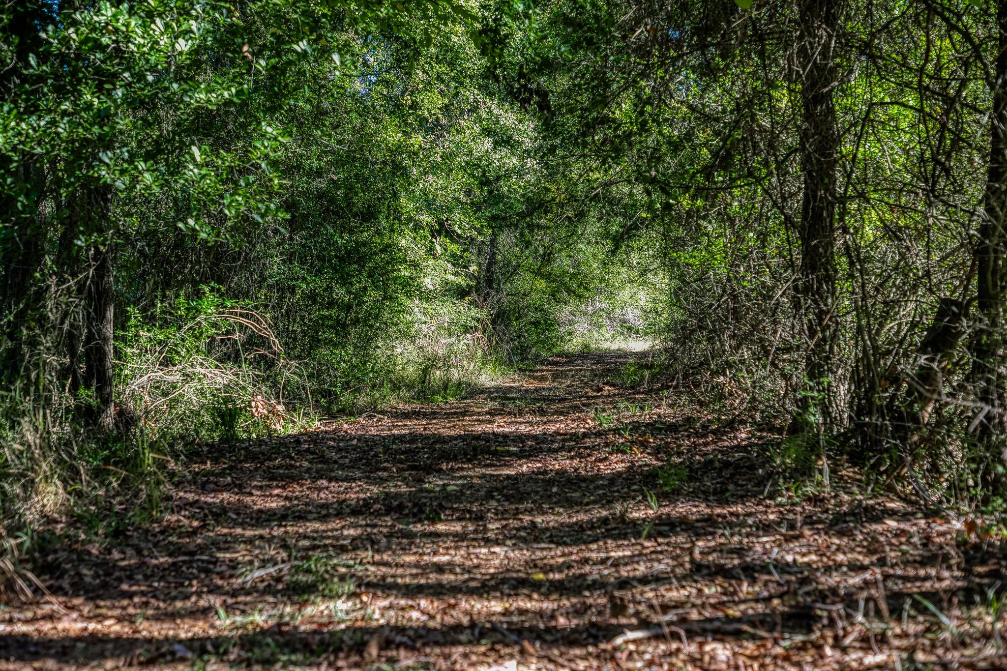 7266 County Road 449