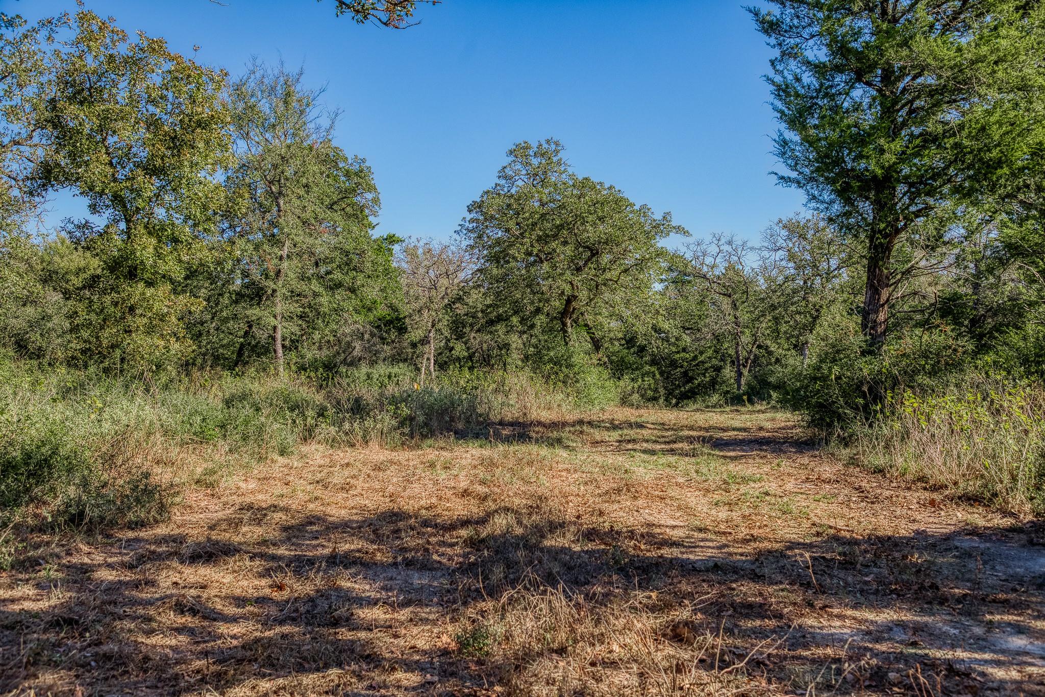 7266 County Road 449