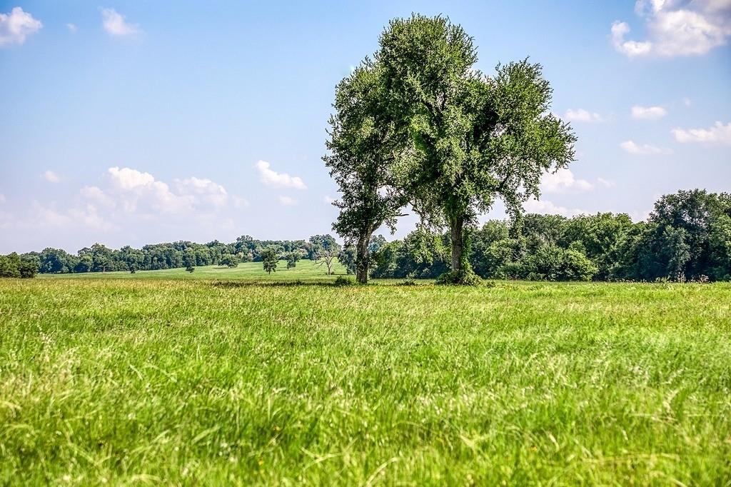 00000 Flat Prairie Road