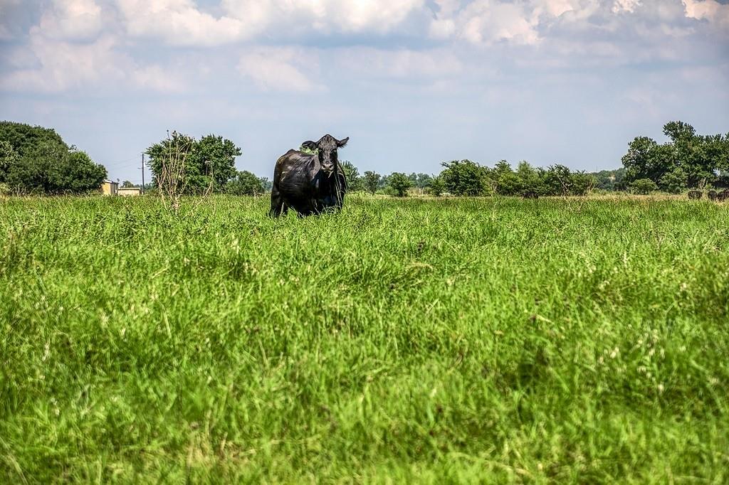 00000 Flat Prairie Road