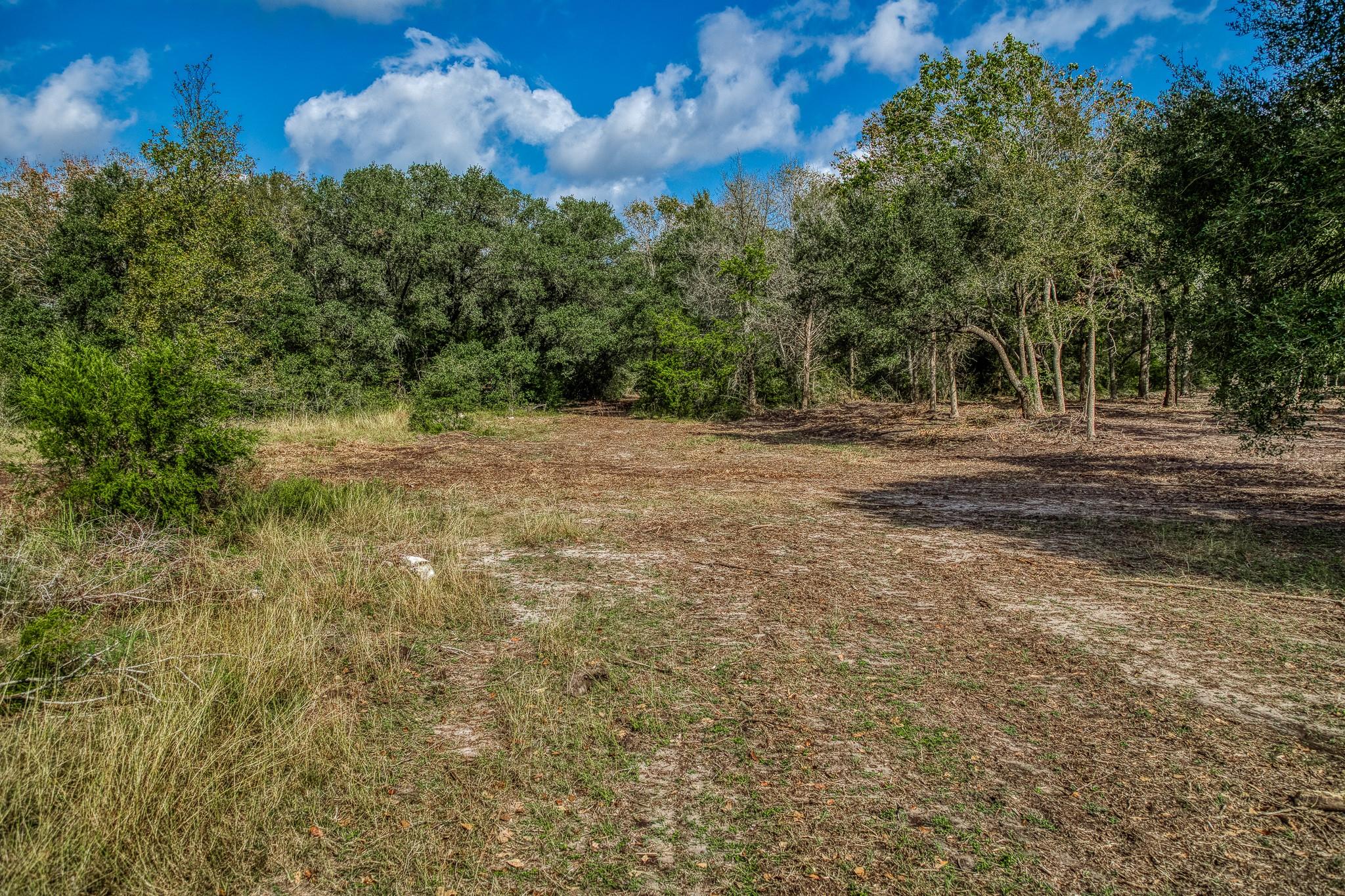 Cleared rural land bordered by dense trees and brush beneath a blue, cloud-filled sky.