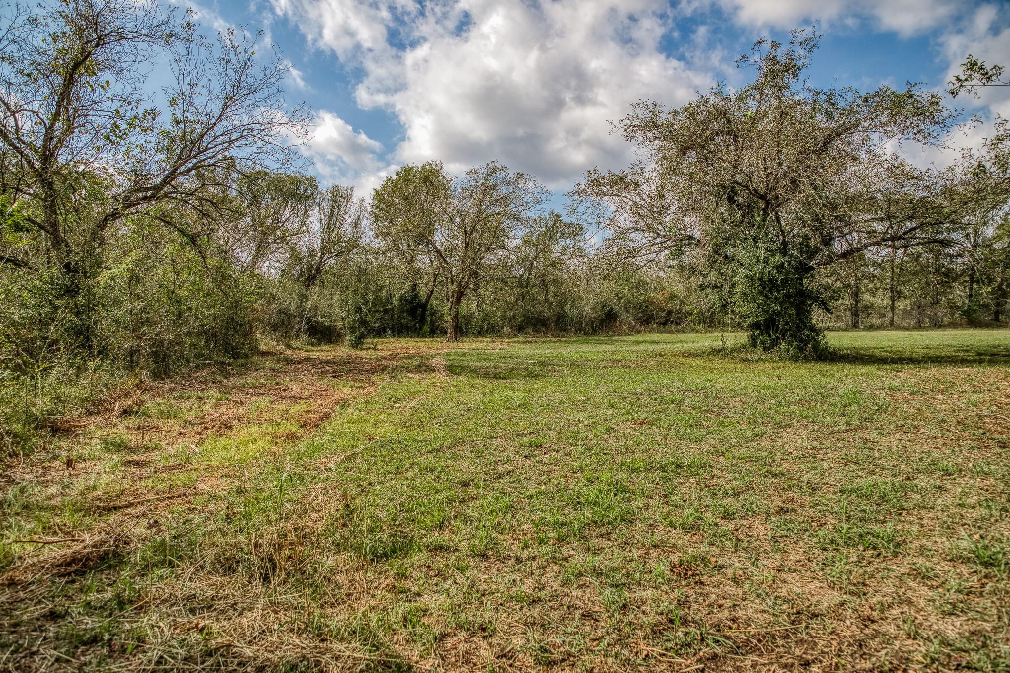 Grassy clearing bordered by mature trees and brush under a partly cloudy sky.