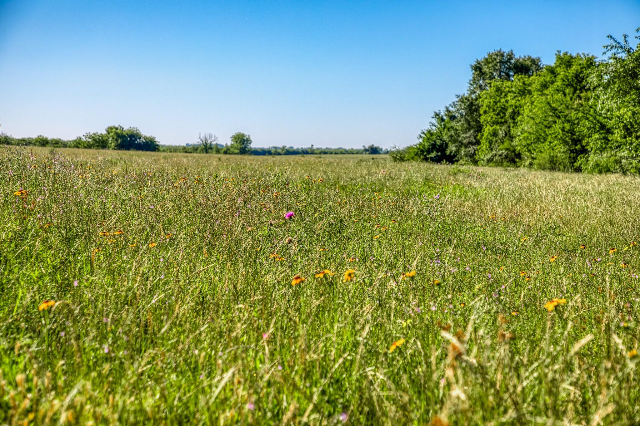 00000 Flat Prairie Road
