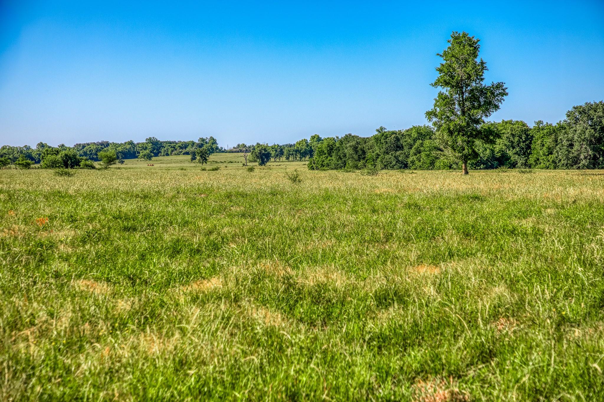 00000 Flat Prairie Road