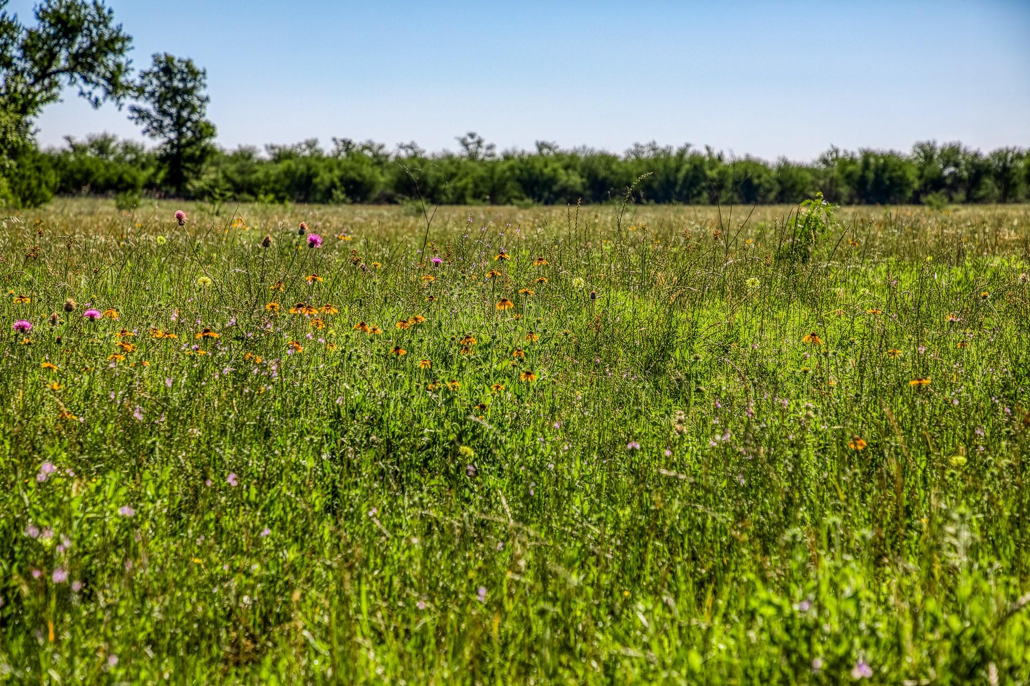 00000 Flat Prairie Road