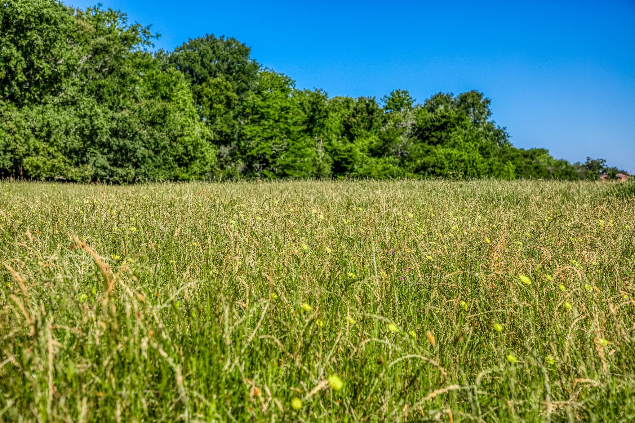 00000 Flat Prairie Road