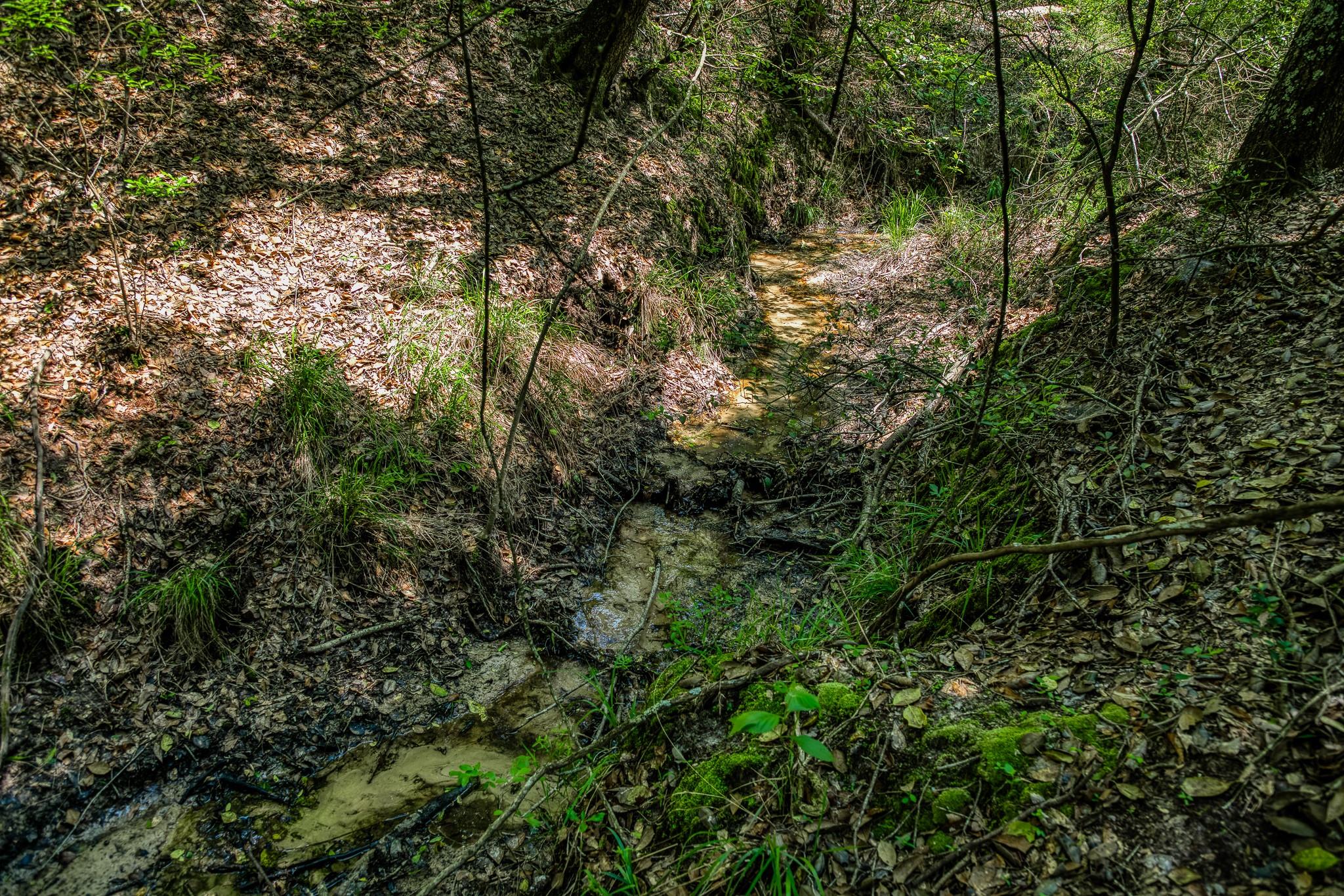 7266 County Road 449