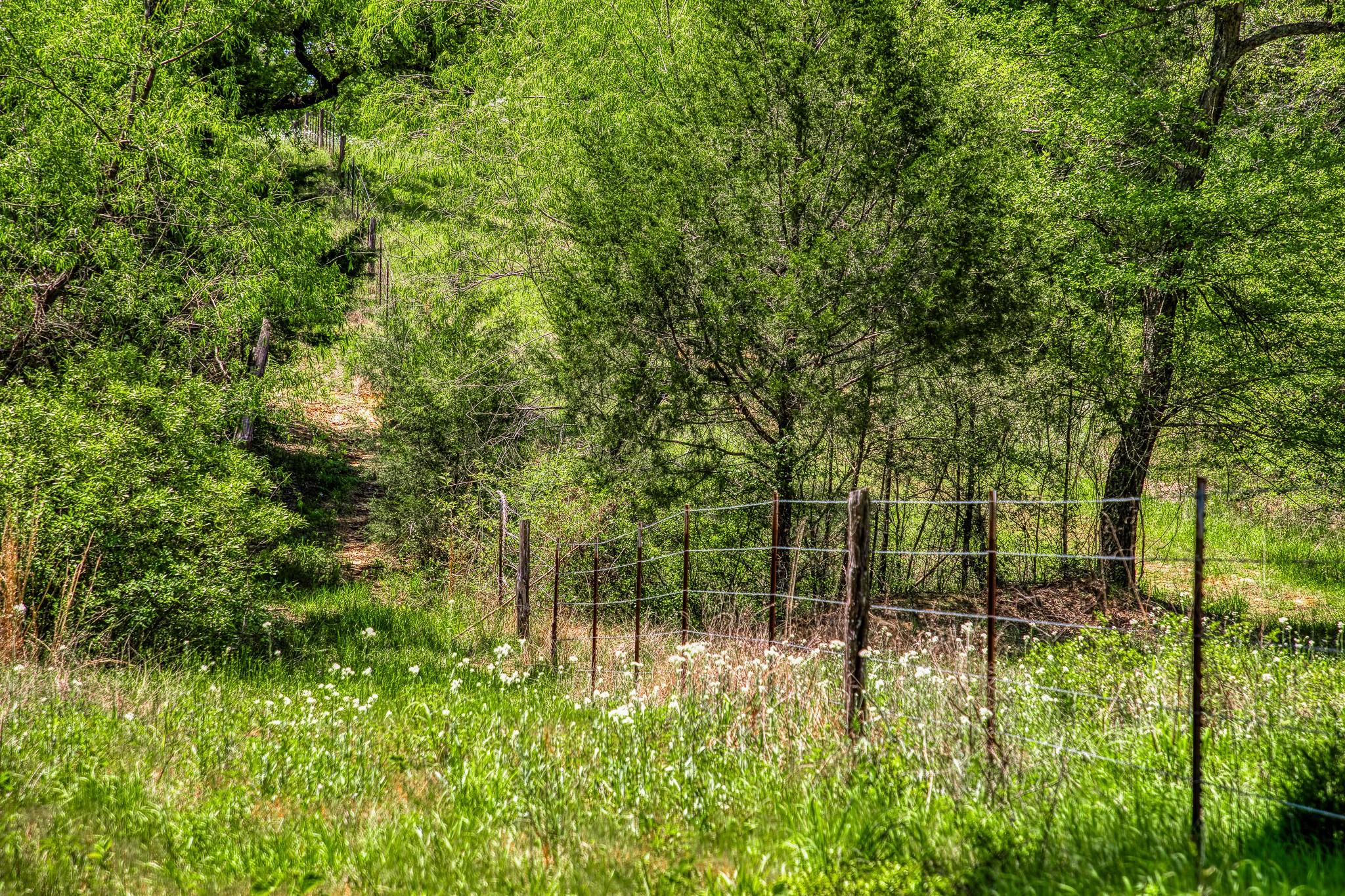 7266 County Road 449