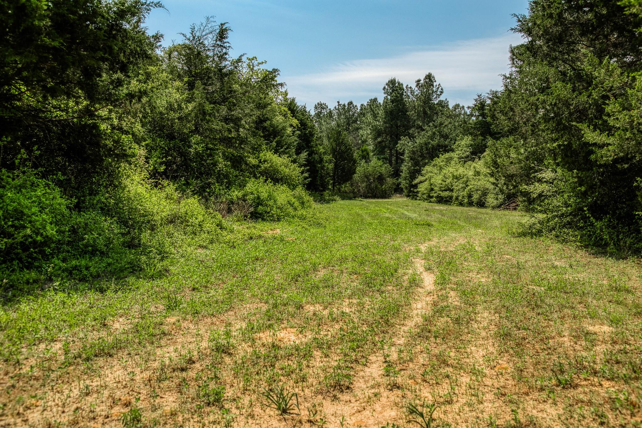 7266 County Road 449
