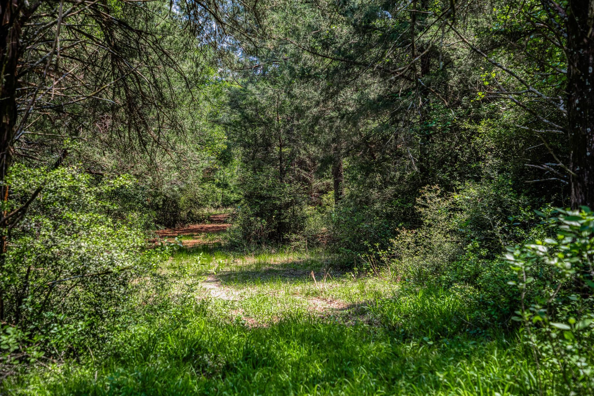 7266 County Road 449